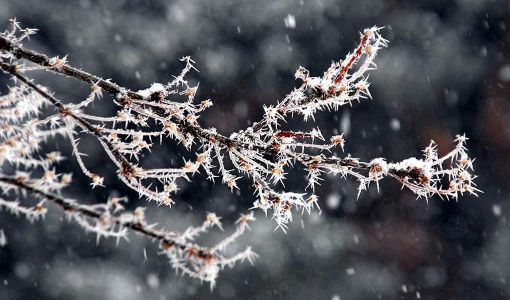 Türkiye'de 'La Nina' etkisi: Sıcaklıklar düşüyor