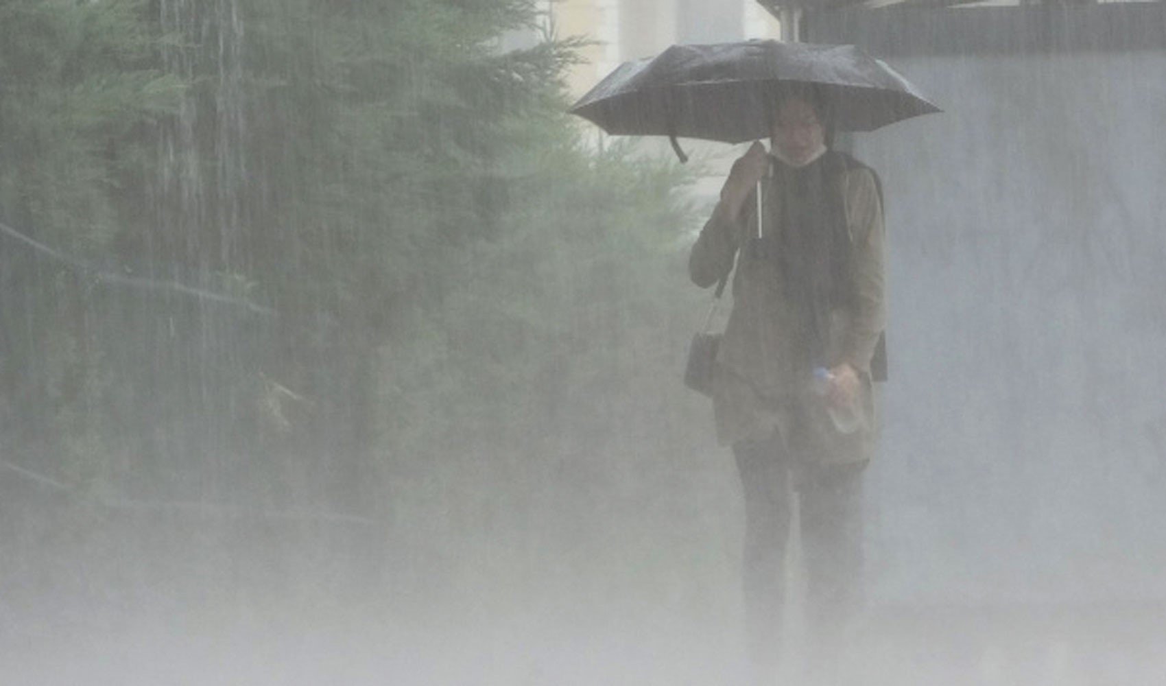 Bu kentlerde yaşayanlar dikkat: Meteoroloji'den sağanak ve sis uyarısı! İşte il il 22 Kasım Cumartesi hava durumu...