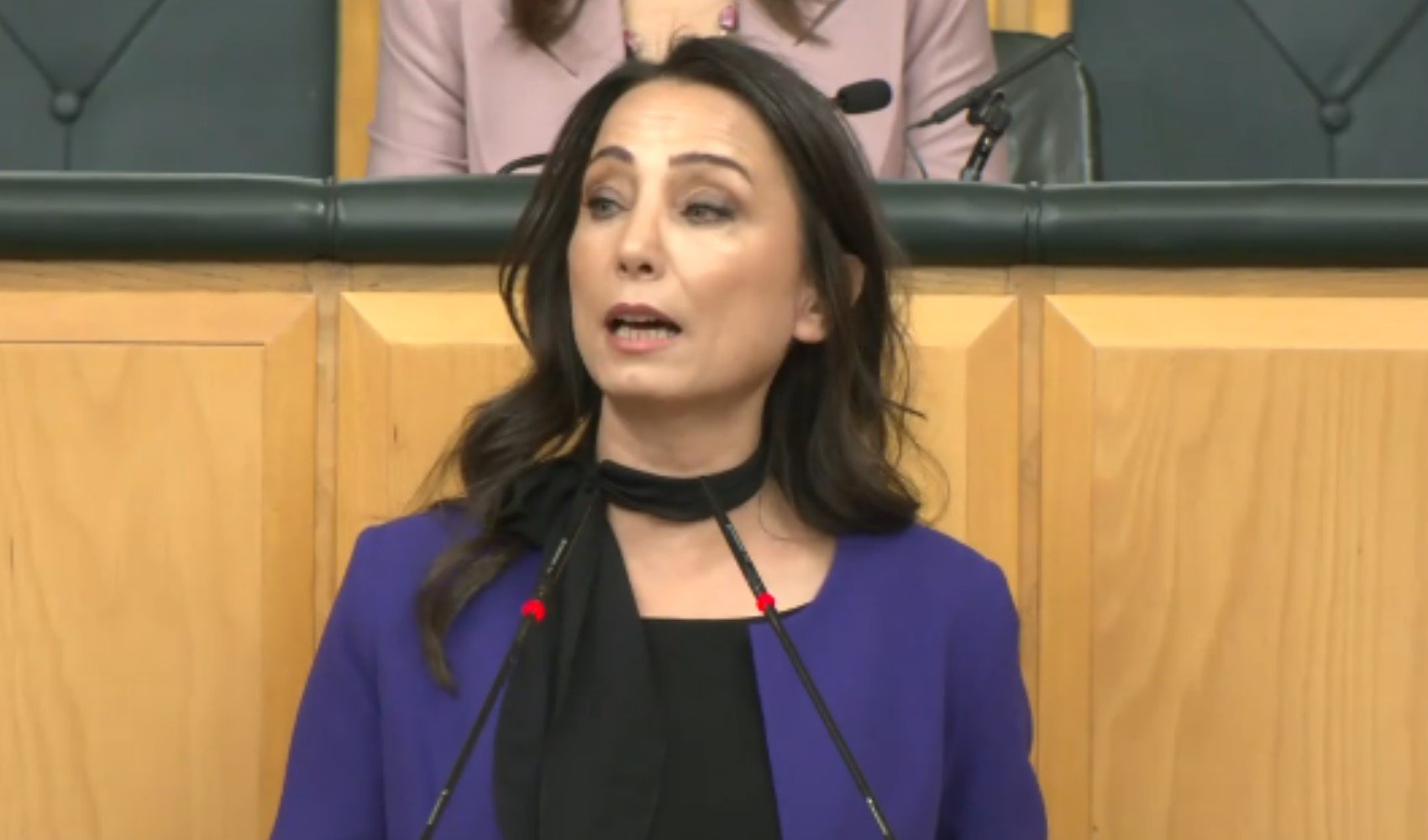 DEM Parti'den İmralı görüşmesi sonrası ilk grup toplantısı: 'Barışa sahip çıkacağız'