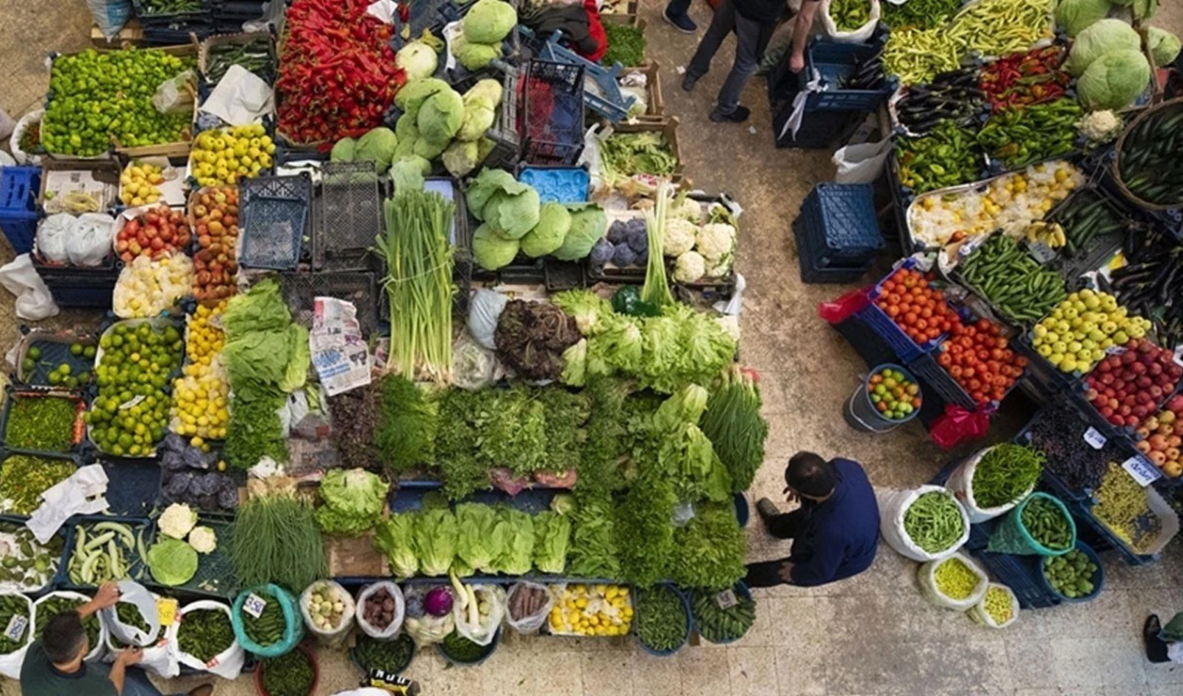 Yeni hal yasasıyla sebze ve meyvede fiyat istikrarı sağlanacak