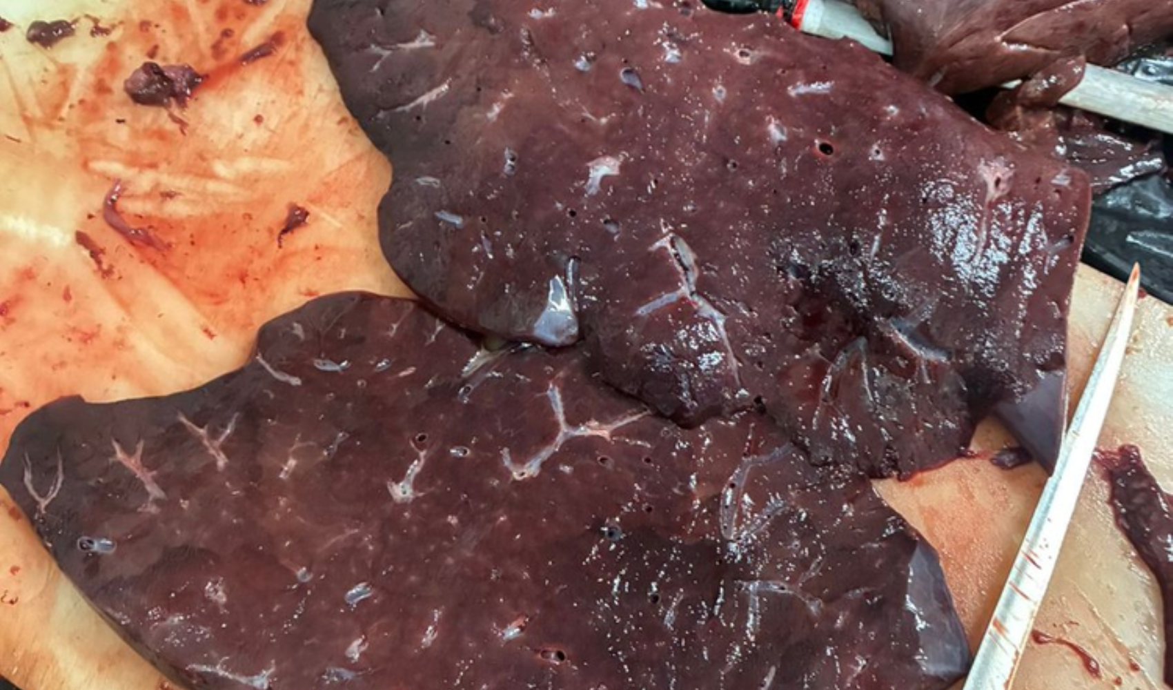 Çanakkale'de katering şirketine ait et kesim alanı tartışma yarattı