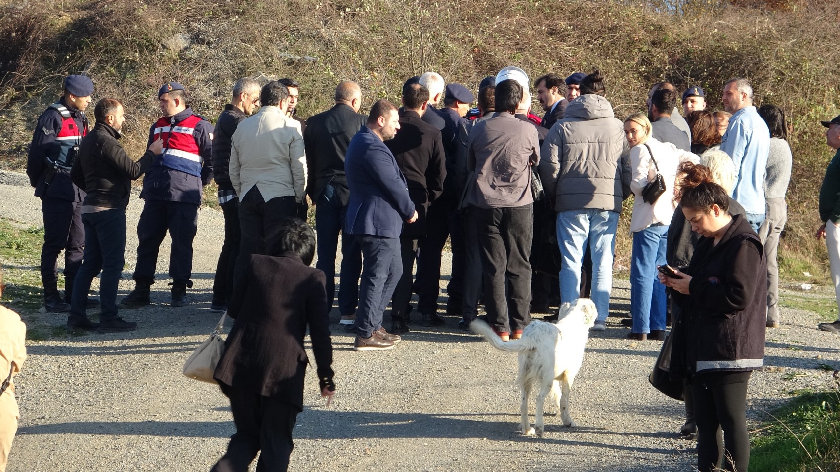 Başkan Kurnaz’dan telef olan 9 köpekle ilgili açıklama: Hayvana kötü muamele olmaz