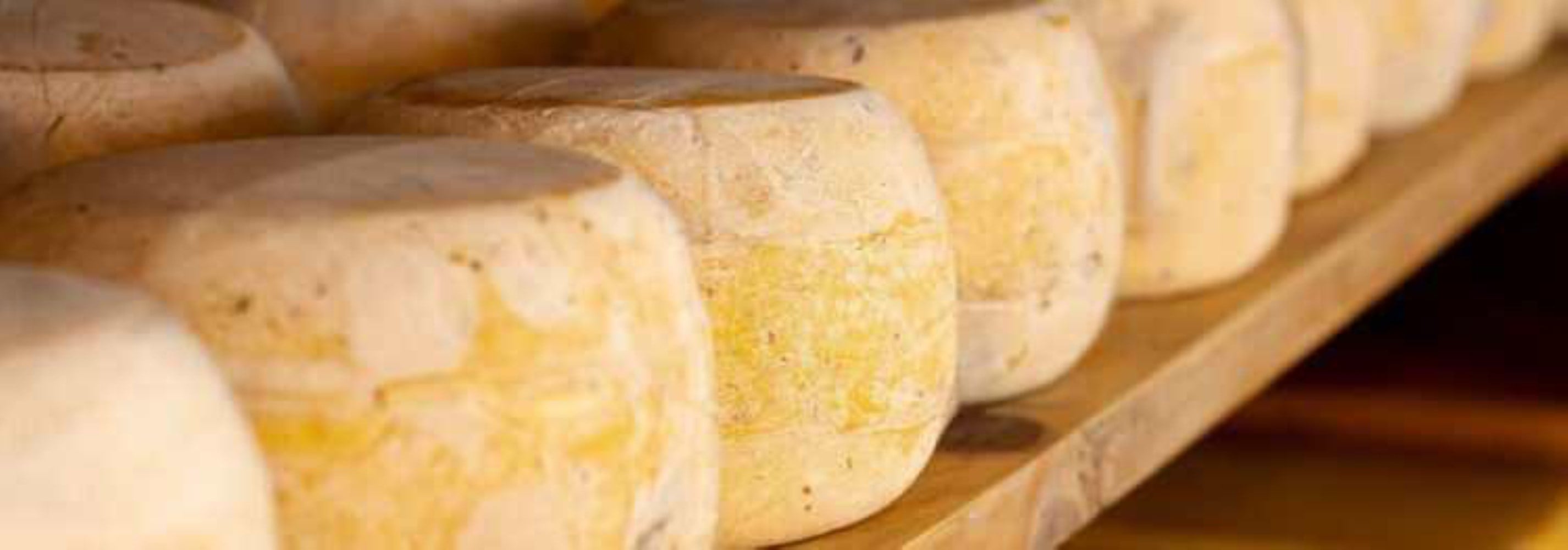 Dünya Türk mutfağını bu yemeklerle tanıyor: Türkiye’nin şehir şehir en popüler yemekleri belli oldu