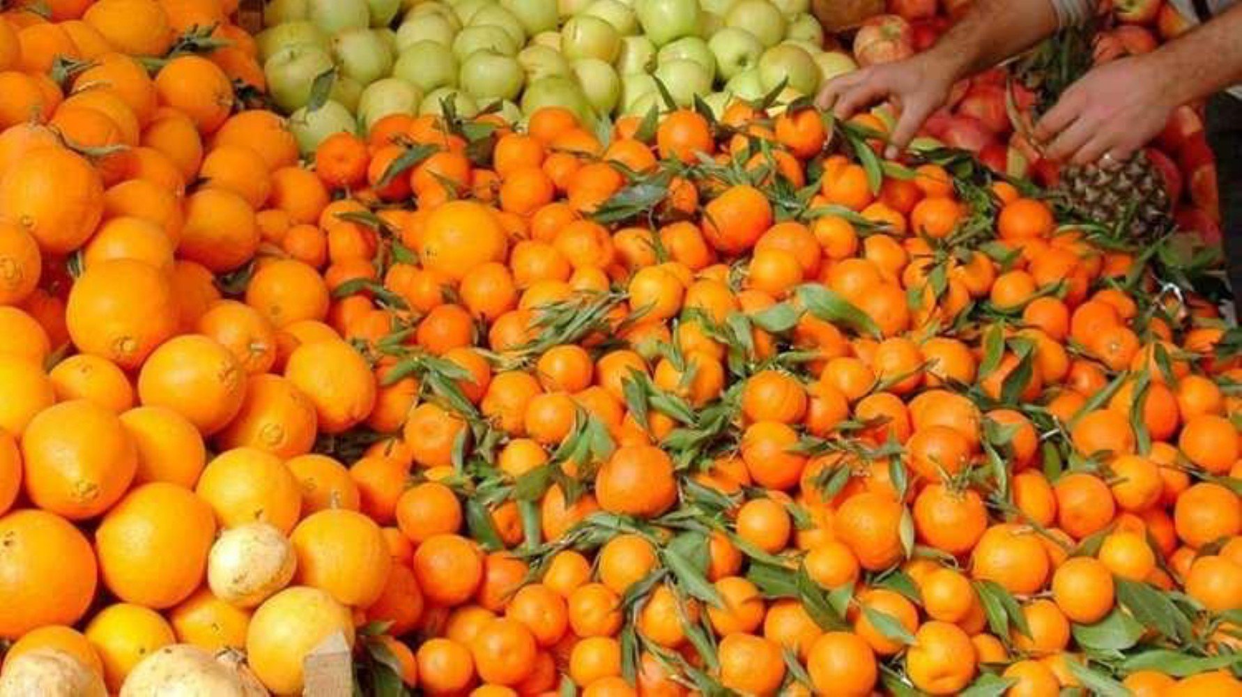 Dünya Türk mutfağını bu yemeklerle tanıyor: Türkiye’nin şehir şehir en popüler yemekleri belli oldu