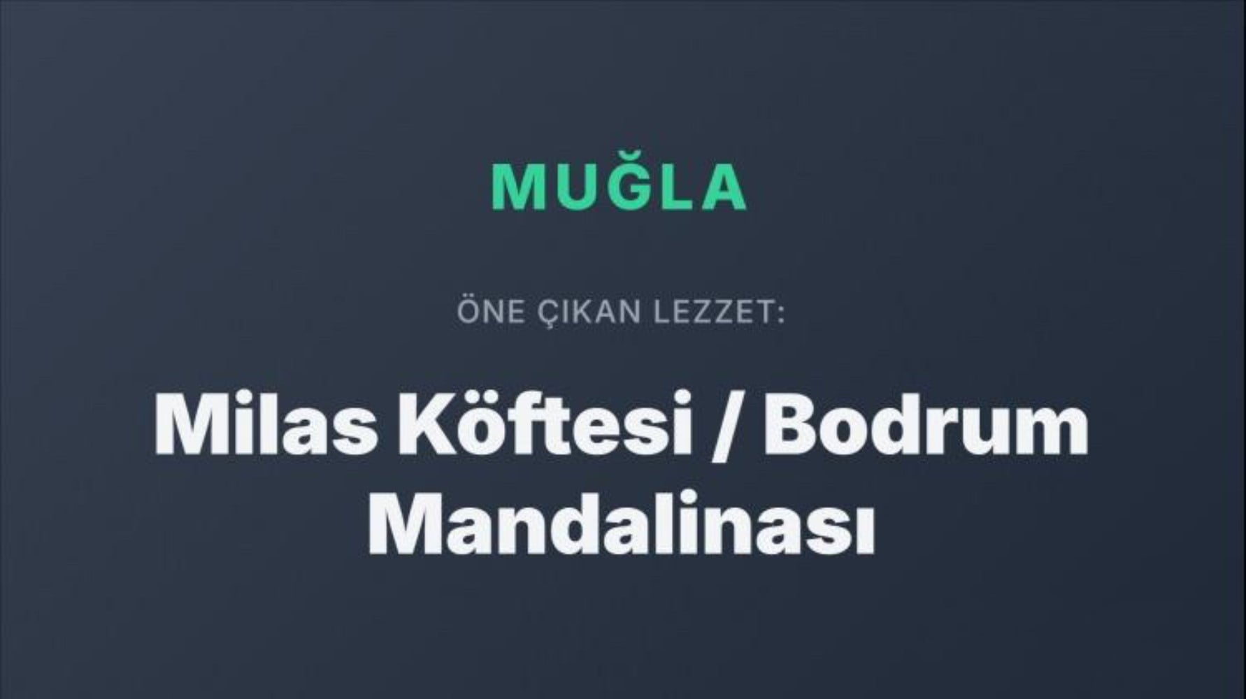 Dünya Türk mutfağını bu yemeklerle tanıyor: Türkiye’nin şehir şehir en popüler yemekleri belli oldu