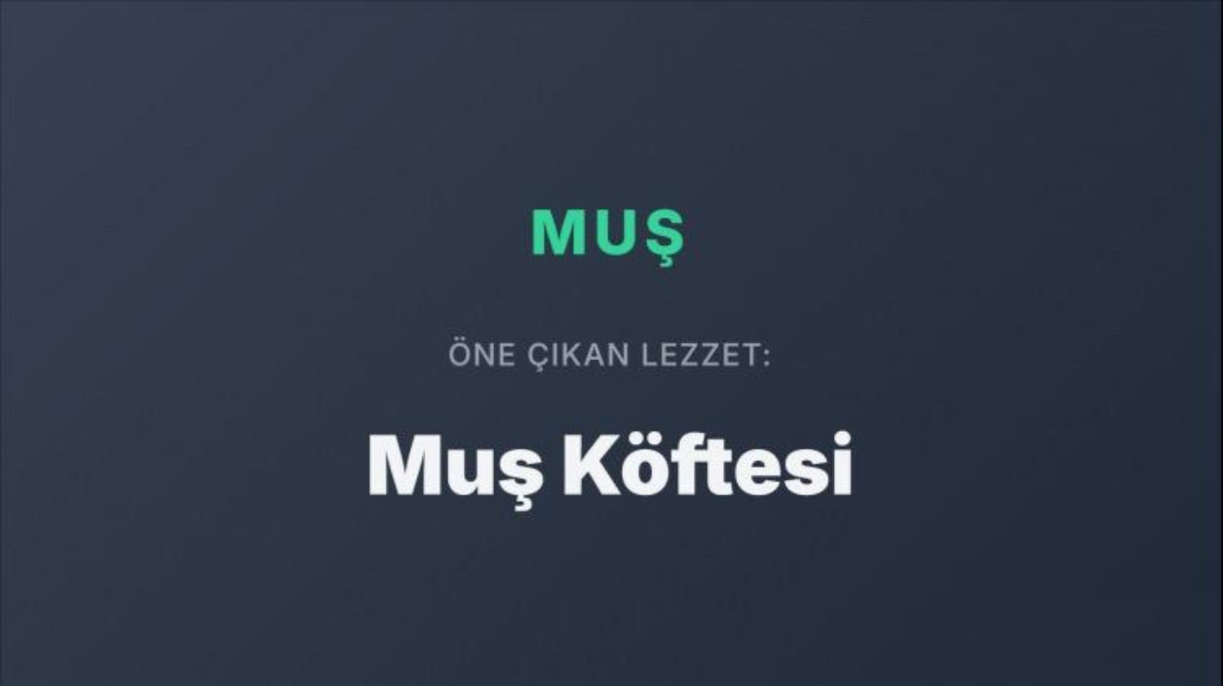 Dünya Türk mutfağını bu yemeklerle tanıyor: Türkiye’nin şehir şehir en popüler yemekleri belli oldu