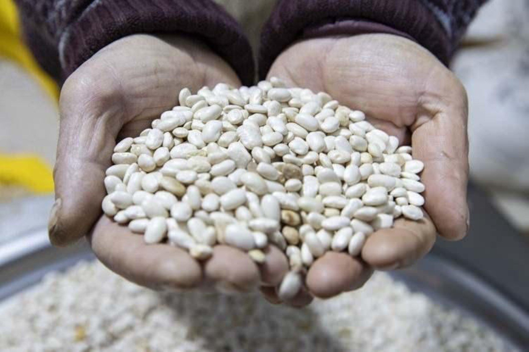 Dünya Türk mutfağını bu yemeklerle tanıyor: Türkiye’nin şehir şehir en popüler yemekleri belli oldu