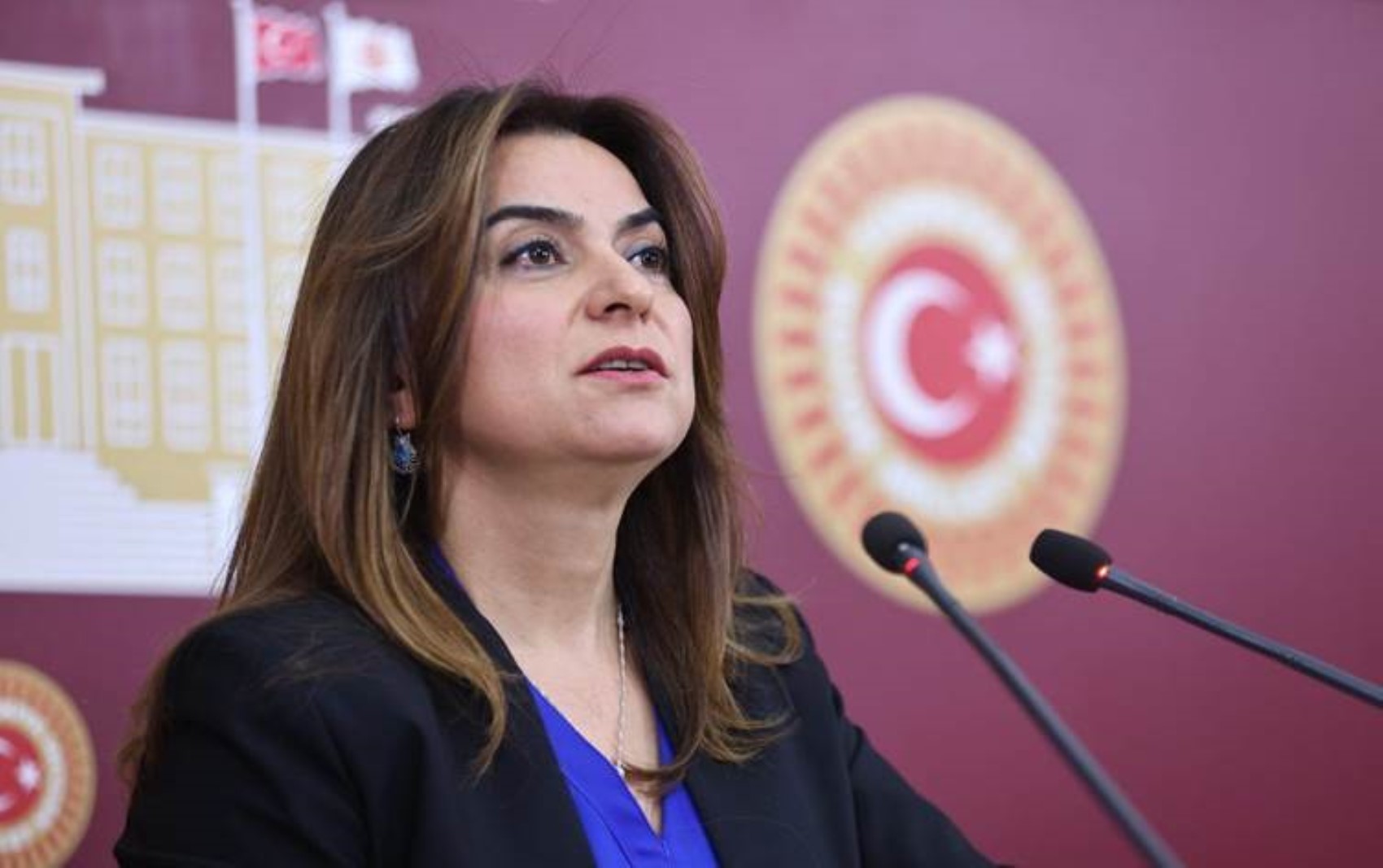 Görüşmenin detayları sır gibi saklanıyordu: DEM Partili Gülistan Koçyiğit İmralı görüşmesini anlattı! Öcalan 'Keşke CHP de olsaydı' demiş