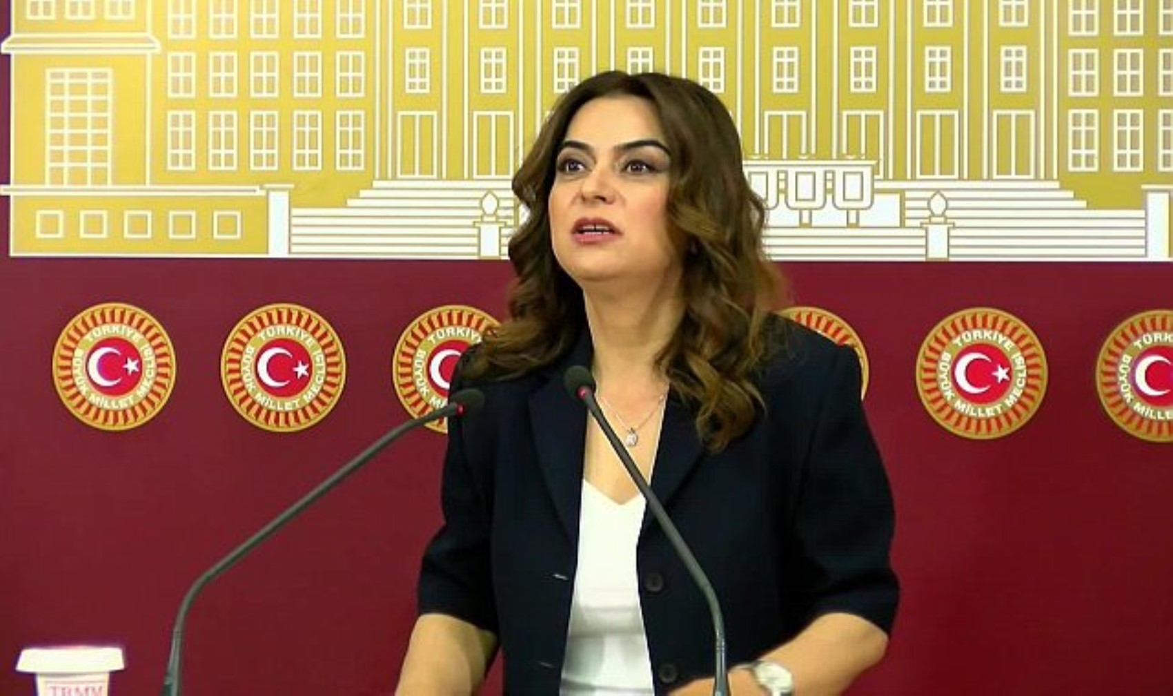 Görüşmenin detayları sır gibi saklanıyordu: DEM Partili Gülistan Koçyiğit İmralı görüşmesini anlattı! Öcalan 'Keşke CHP de olsaydı' demiş