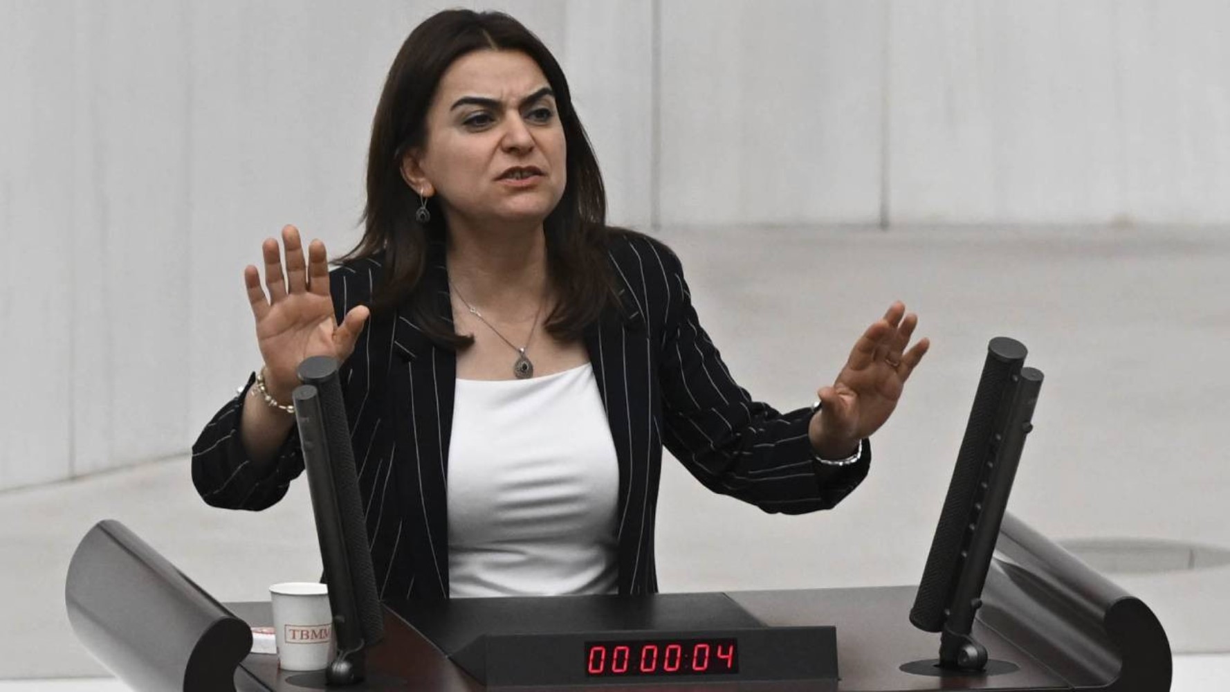 Görüşmenin detayları sır gibi saklanıyordu: DEM Partili Gülistan Koçyiğit İmralı görüşmesini anlattı! Öcalan 'Keşke CHP de olsaydı' demiş