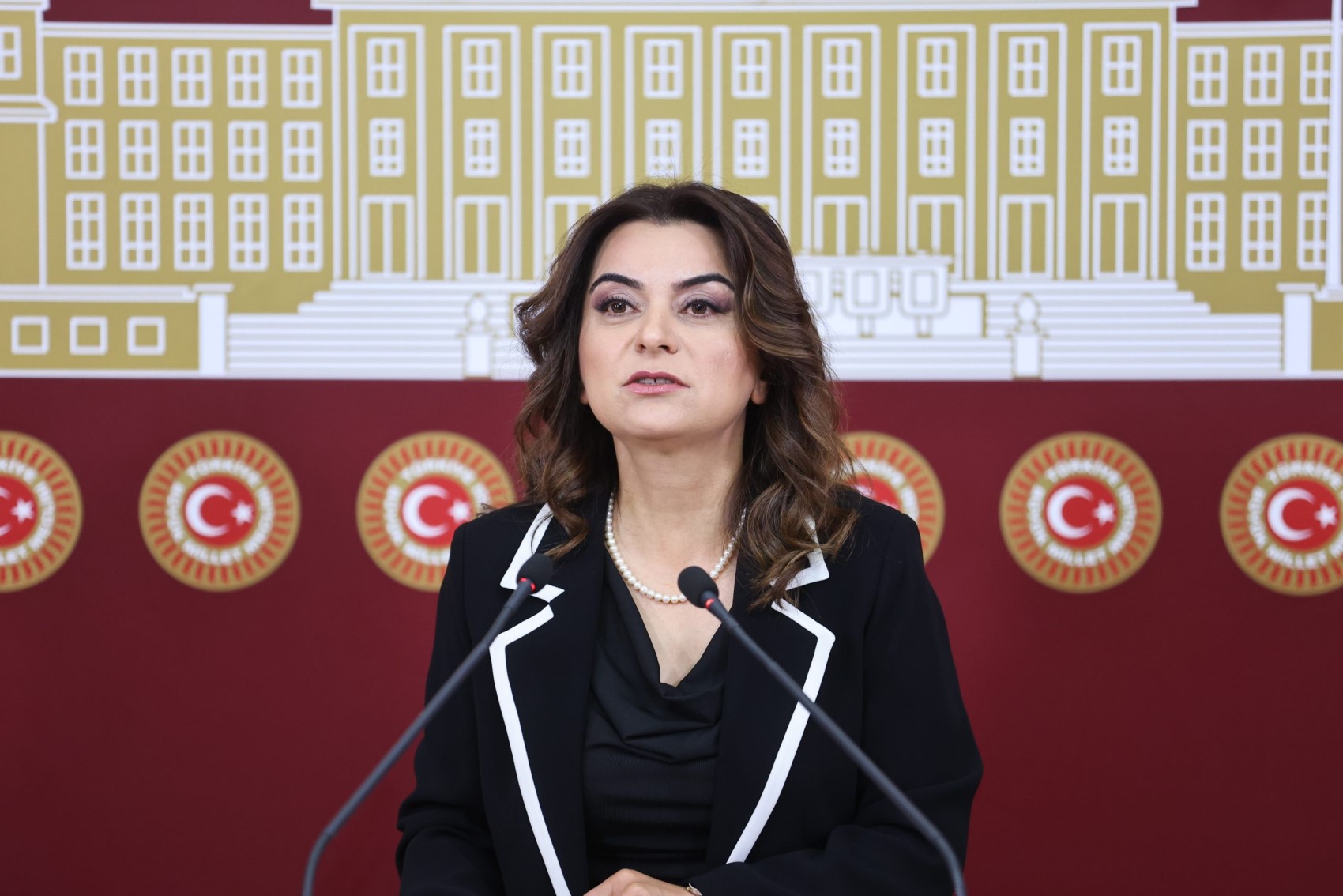 Görüşmenin detayları sır gibi saklanıyordu: DEM Partili Gülistan Koçyiğit İmralı görüşmesini anlattı! Öcalan 'Keşke CHP de olsaydı' demiş