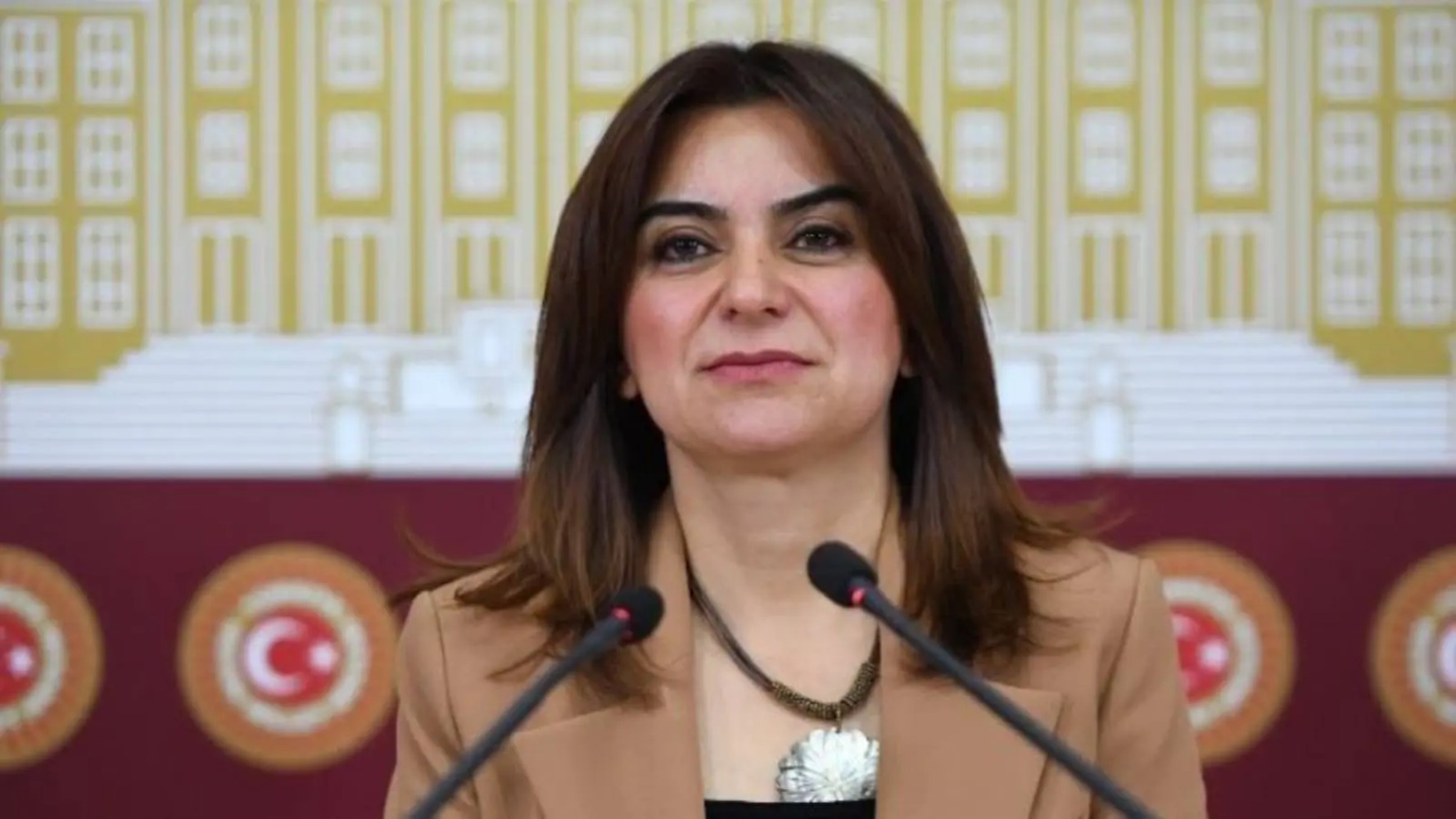 Görüşmenin detayları sır gibi saklanıyordu: DEM Partili Gülistan Koçyiğit İmralı görüşmesini anlattı! Öcalan 'Keşke CHP de olsaydı' demiş