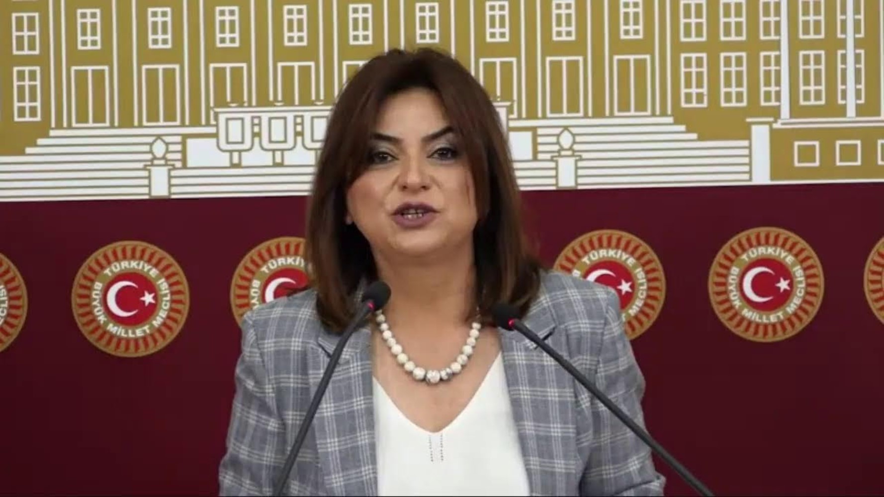 Görüşmenin detayları sır gibi saklanıyordu: DEM Partili Gülistan Koçyiğit İmralı görüşmesini anlattı! Öcalan 'Keşke CHP de olsaydı' demiş