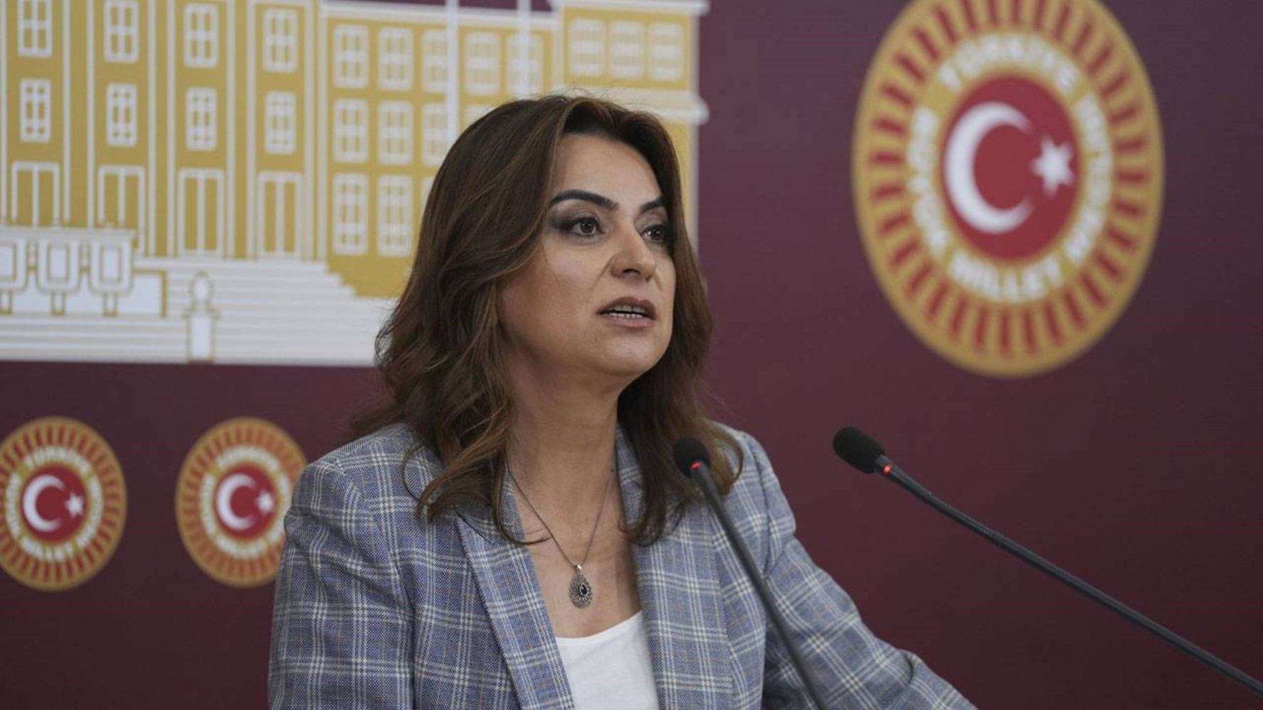 Görüşmenin detayları sır gibi saklanıyordu: DEM Partili Gülistan Koçyiğit İmralı görüşmesini anlattı! Öcalan 'Keşke CHP de olsaydı' demiş