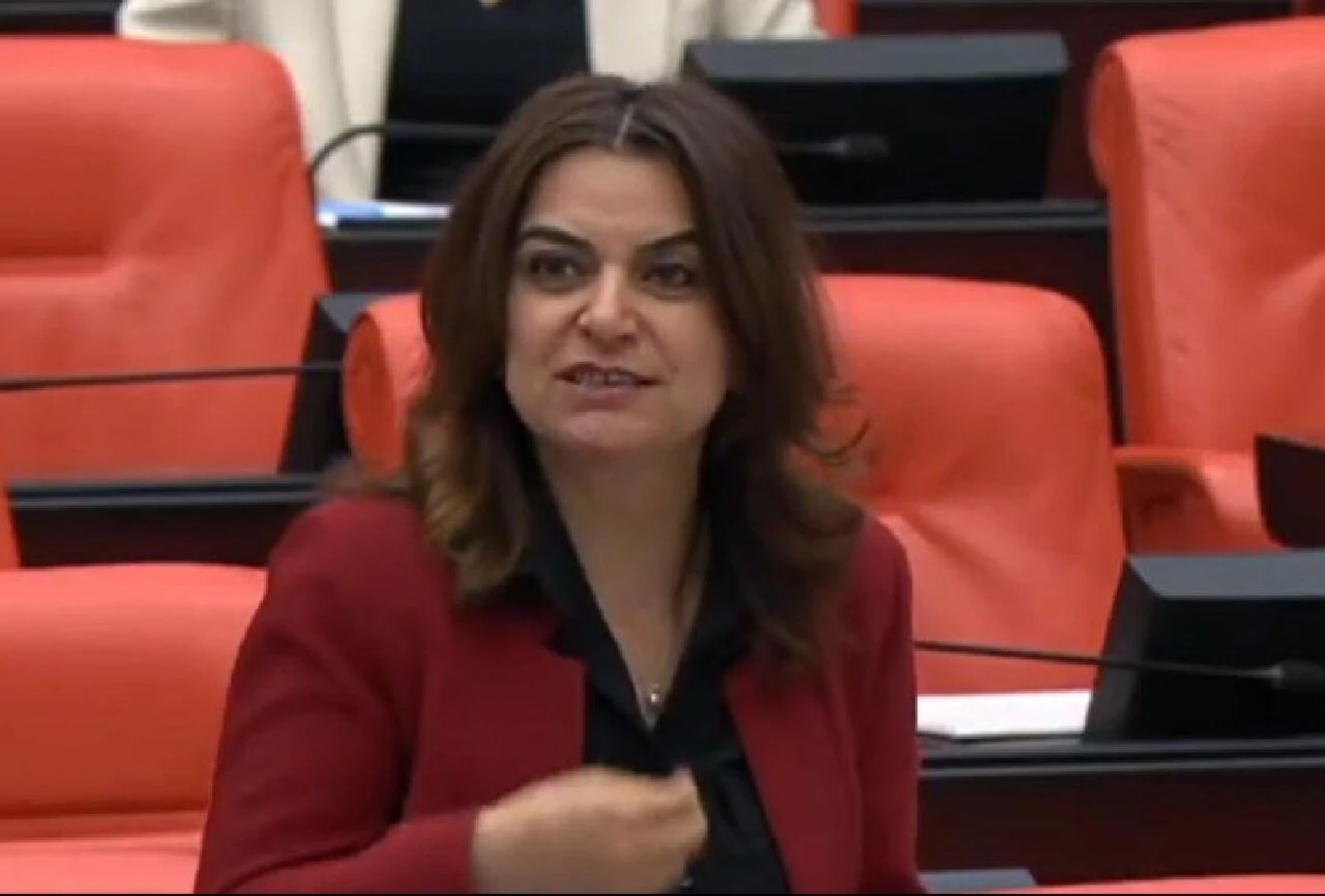 Görüşmenin detayları sır gibi saklanıyordu: DEM Partili Gülistan Koçyiğit İmralı görüşmesini anlattı! Öcalan 'Keşke CHP de olsaydı' demiş