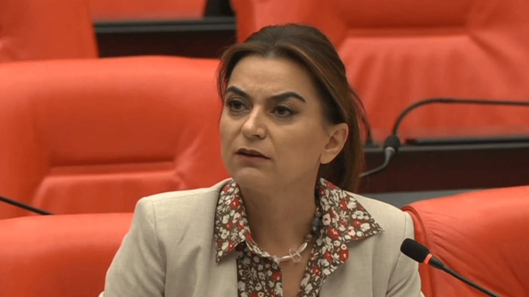 Görüşmenin detayları sır gibi saklanıyordu: DEM Partili Gülistan Koçyiğit İmralı görüşmesini anlattı! Öcalan 'Keşke CHP de olsaydı' demiş