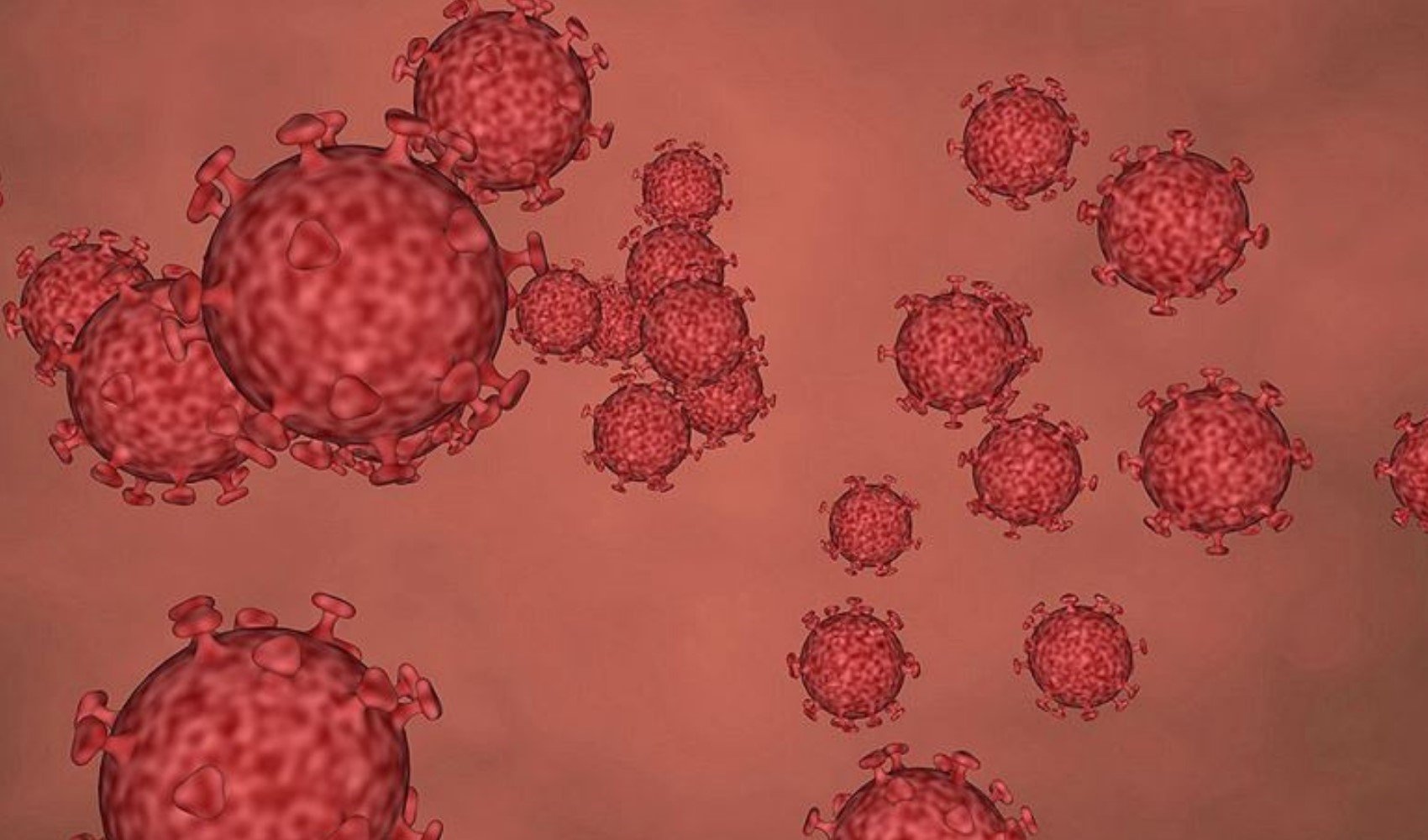 Koronavirüs belası bitmedi! Yeni bir türü keşfedildi