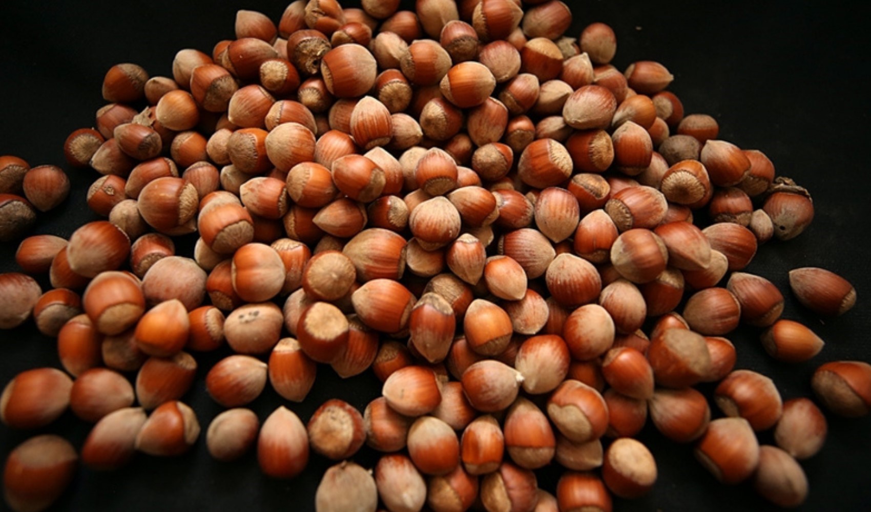 Rekabet Kurulu’ndan Ferrero’ya yeni düzenleme: Fındık alım taahhüdü 2025 için düşürüldü