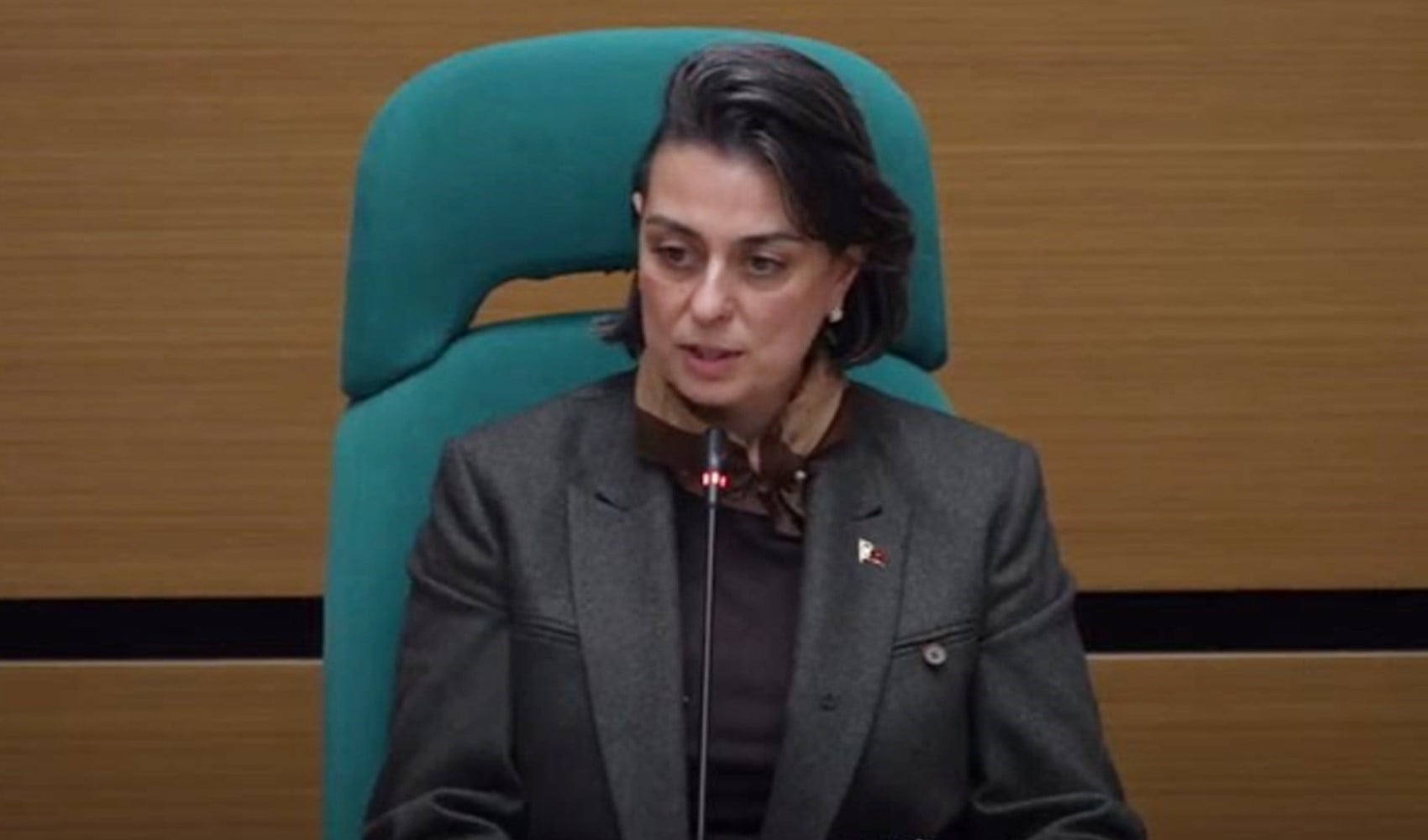 Sinem Dedetaş’ın 'tutuksuz yargı' çağrısı alkış aldı