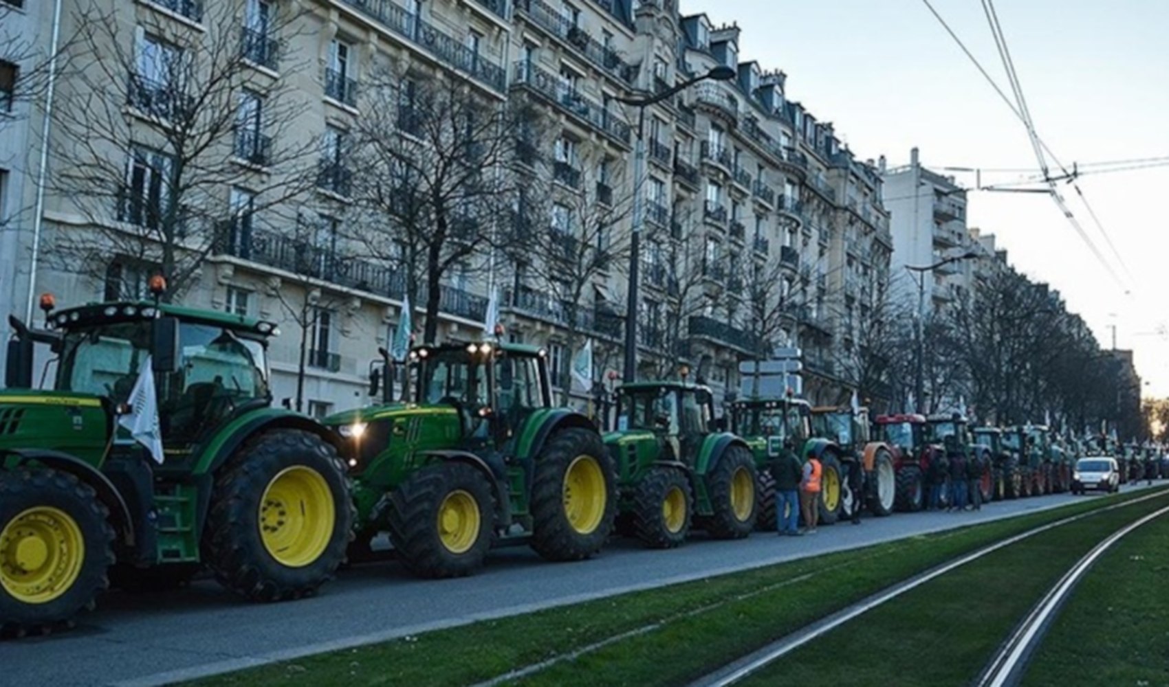 Hayvan itlafına karşı protestolar büyüyor