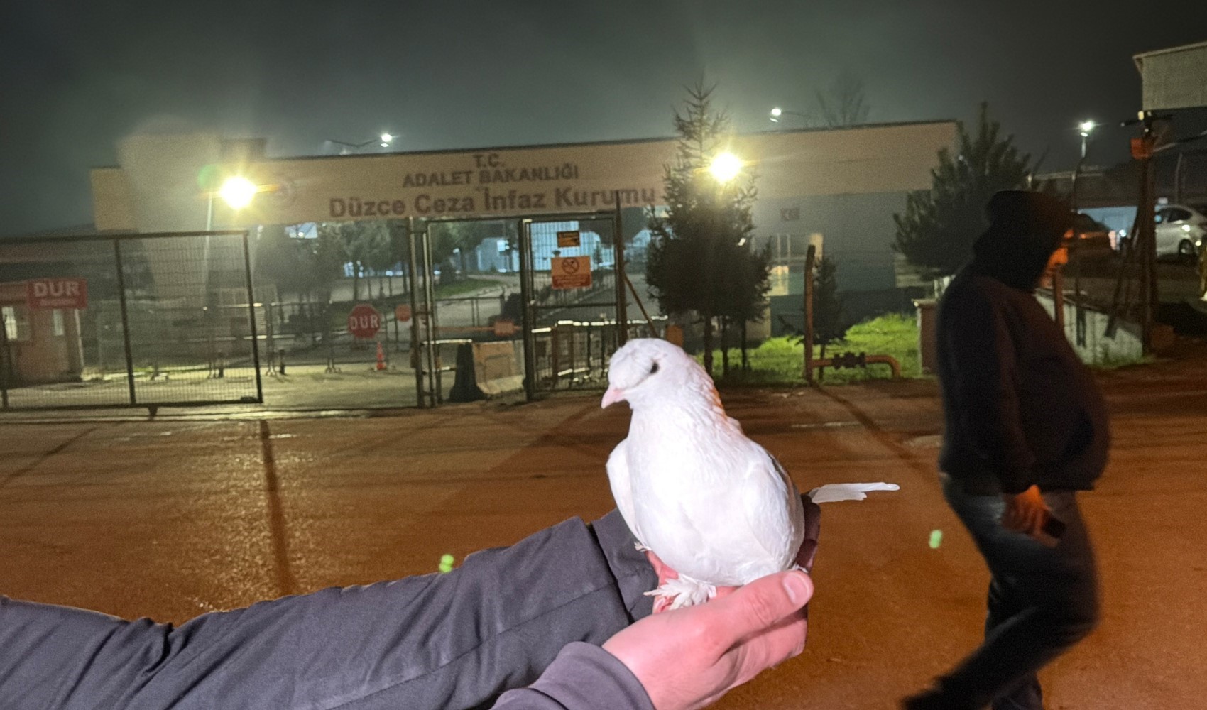 Tahliyeleri beyaz güvercinle karşıladılar