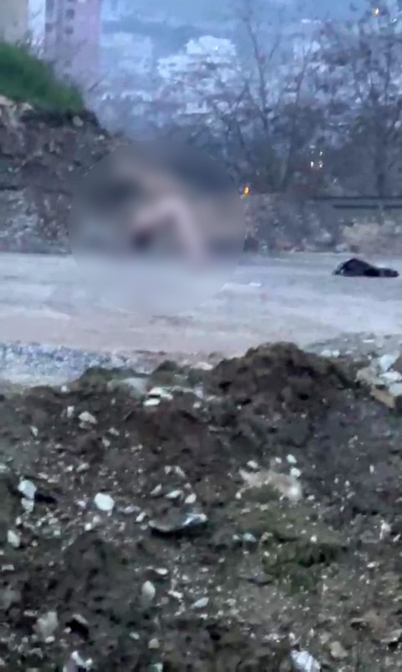 Köprü altında 'çıplak şahıs' vakası