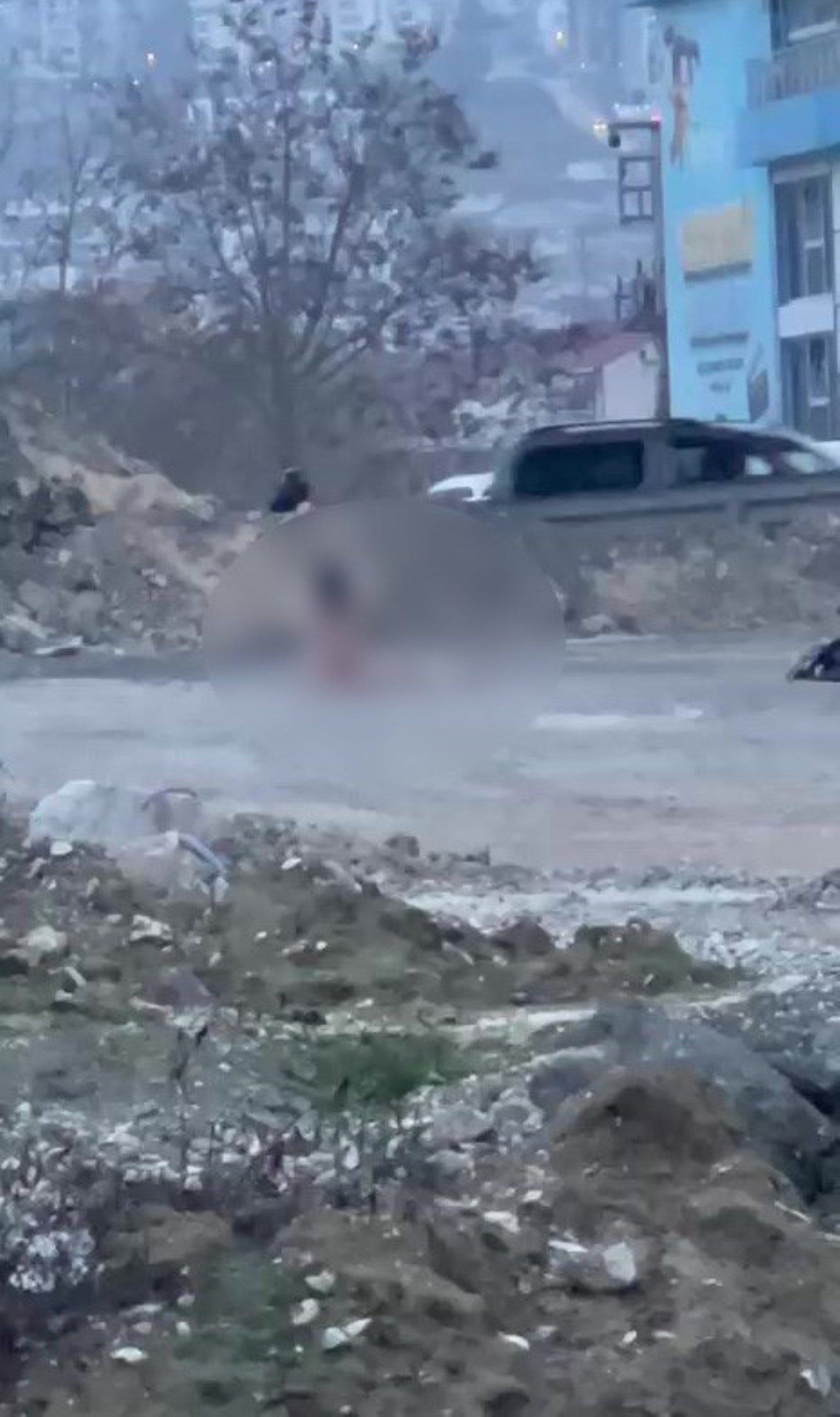 Köprü altında 'çıplak şahıs' vakası