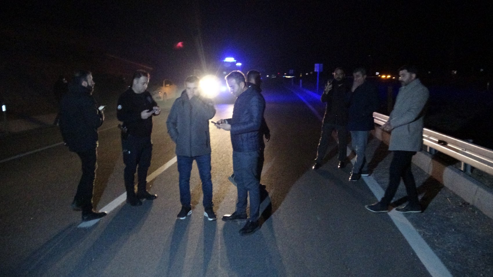 Cavalli da corsa in autostrada, il caos
