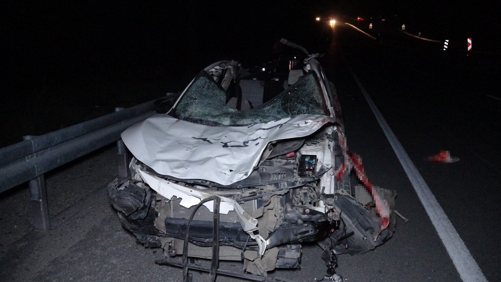Cavalli da corsa in autostrada, il caos