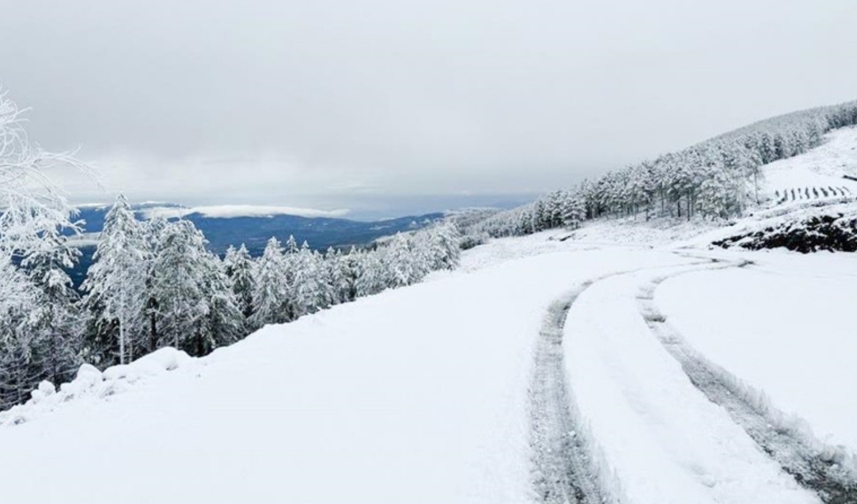 Beklenen soğuk hava geldi, Türkiye beyaza bürünecek