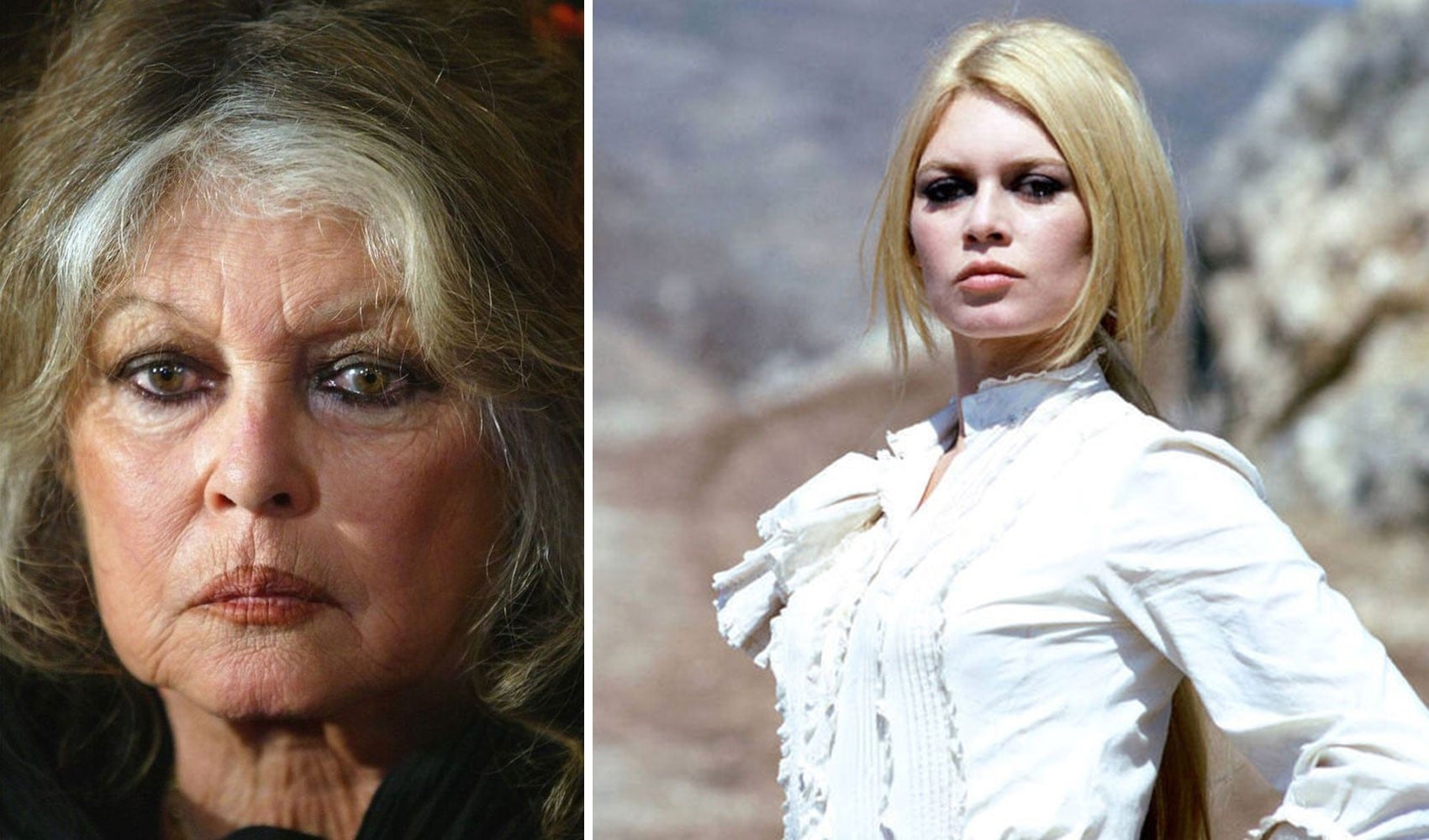 Fransız sinemasının unutulmaz yıldızı Brigitte Bardot hayatını kaybetti