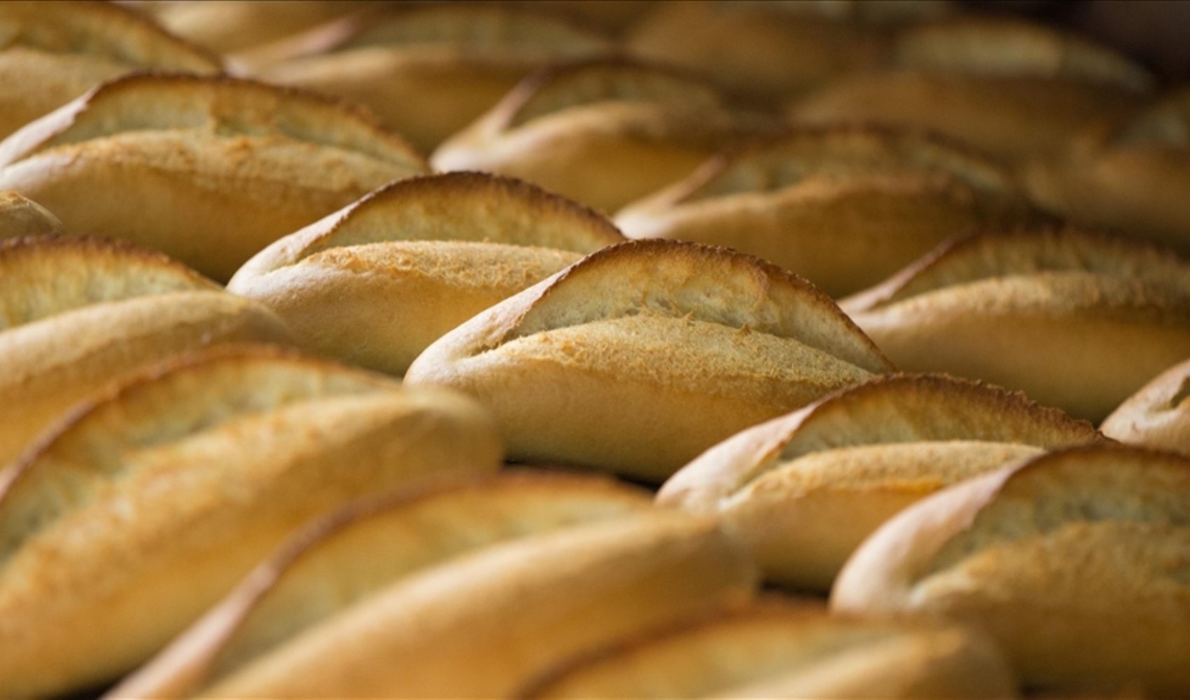 2026'de ekmeğe zam gelecek mi?