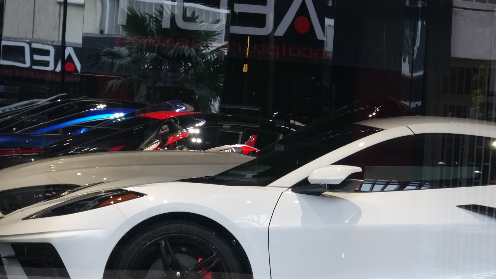 Kadıköy’de lüks oto galerisi boşaltıldı: 11 milyar TL’lik vurgun iddiası