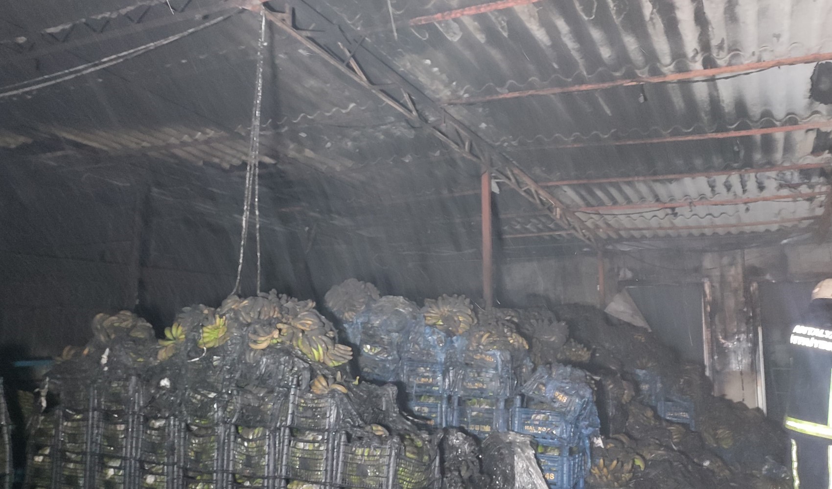 Alanya'da muz sarartma tesisinde yangın: Tonlarca muz zarar gördü