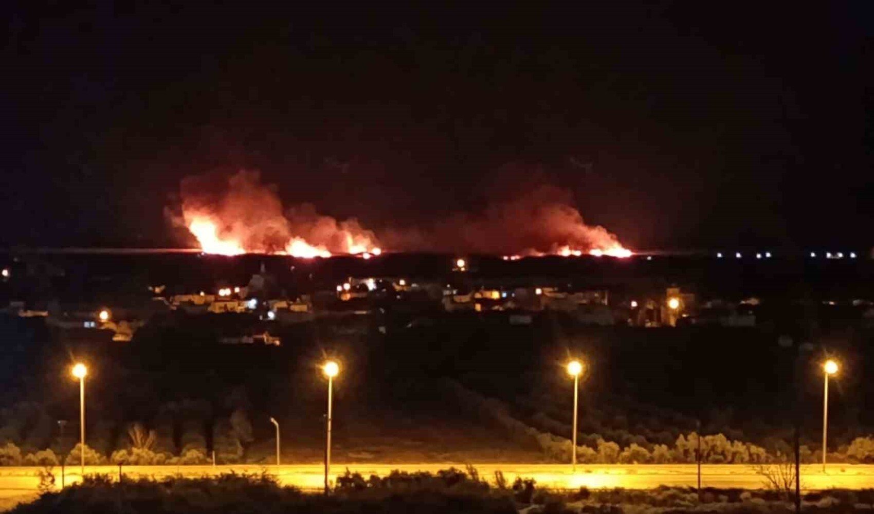 Mersin'in Kuş Cenneti'nde 1000 dönümlük alan kül oldu: 'Yangınlar kasıtlı olarak çıkarılıyor'