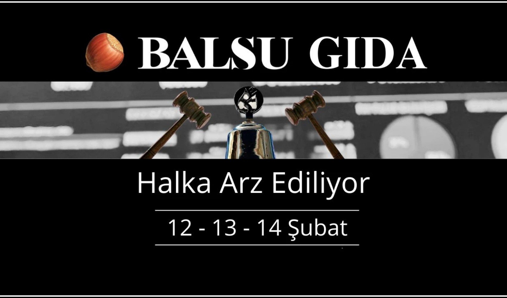 Balsu Gıda halka arz ne zaman? Balsu Gıda halka arz kaç lot verir? Katılım endeksine uygun mu? Balsu Gıda halka arz hangi bankalarda var?