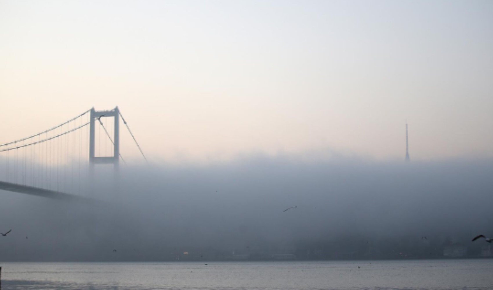 İstanbul Boğazı'nda gemi trafiği sis nedeniyle çift taraflı olarak askıya alındı