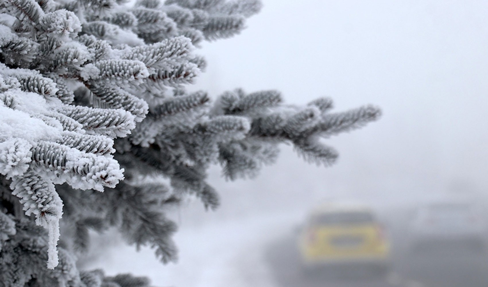 Meteoroloji'den 4 kente sarı, 2 kente ise turuncu kodlu uyarı: Kuvvetli kar yağışı bekleniyor! İşte il il 24 Şubat Pazartesi hava durumu...