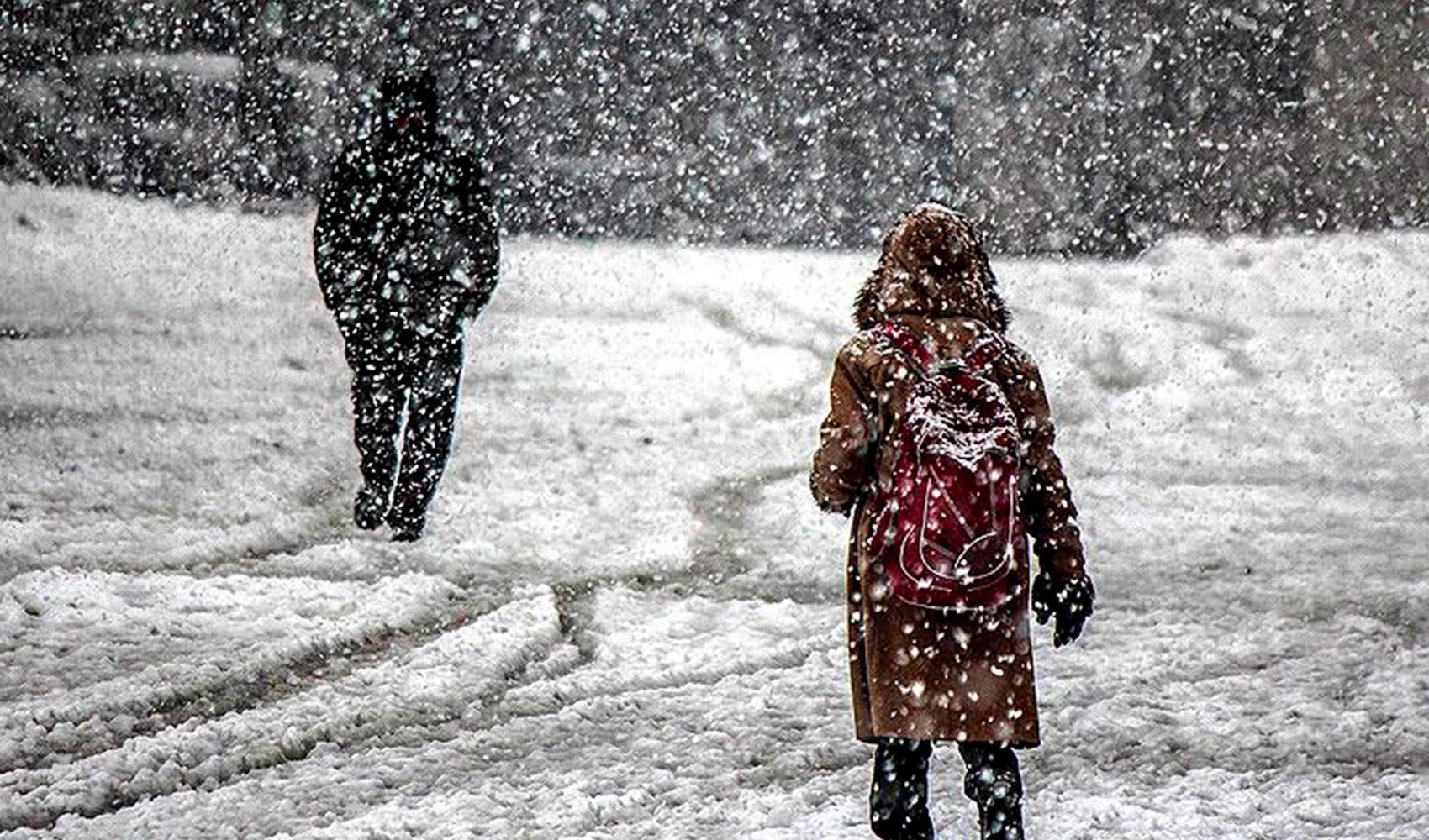 Ordu'da eğitime 1 gün ara verildi