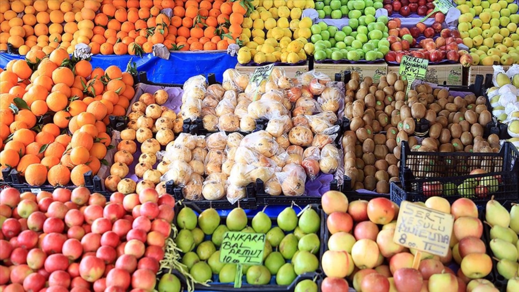 Bakanlık açıkladı: Rusya'dan getirilen meyve sebzelerde büyük tehlike! '13 bin ton...'