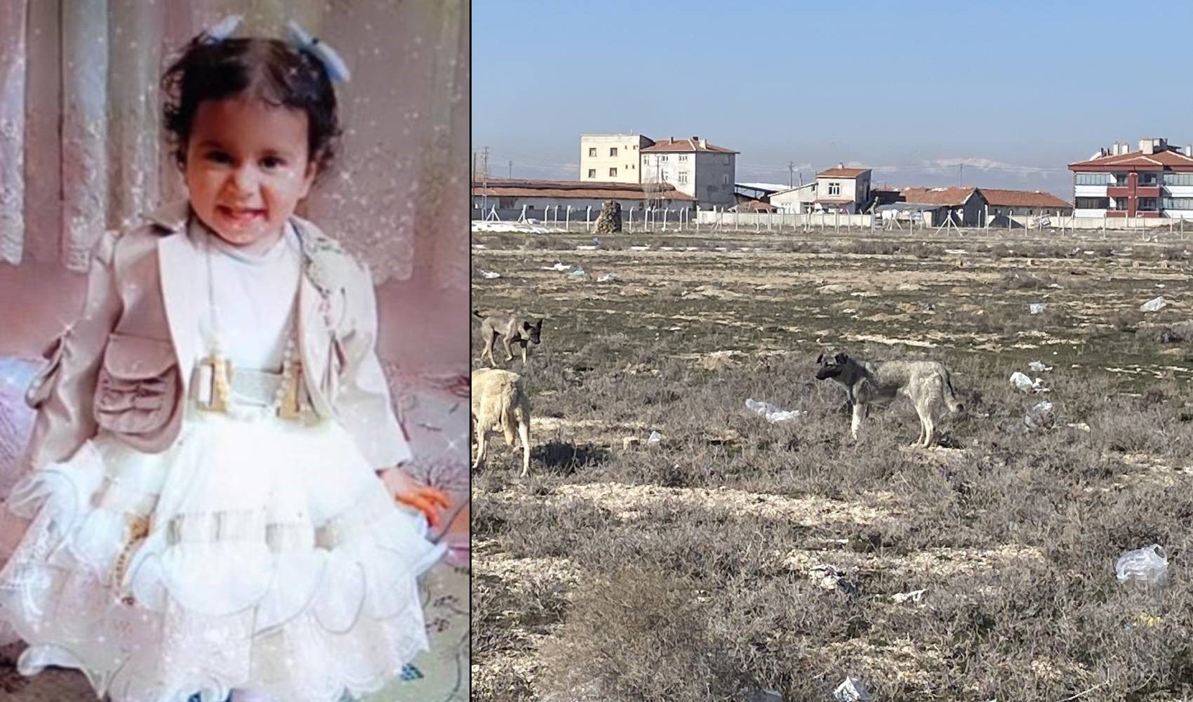Köpek saldırısına uğrayan Rana bebeğin ölüm nedeni belli oldu: Otopsi raporu açıklandı