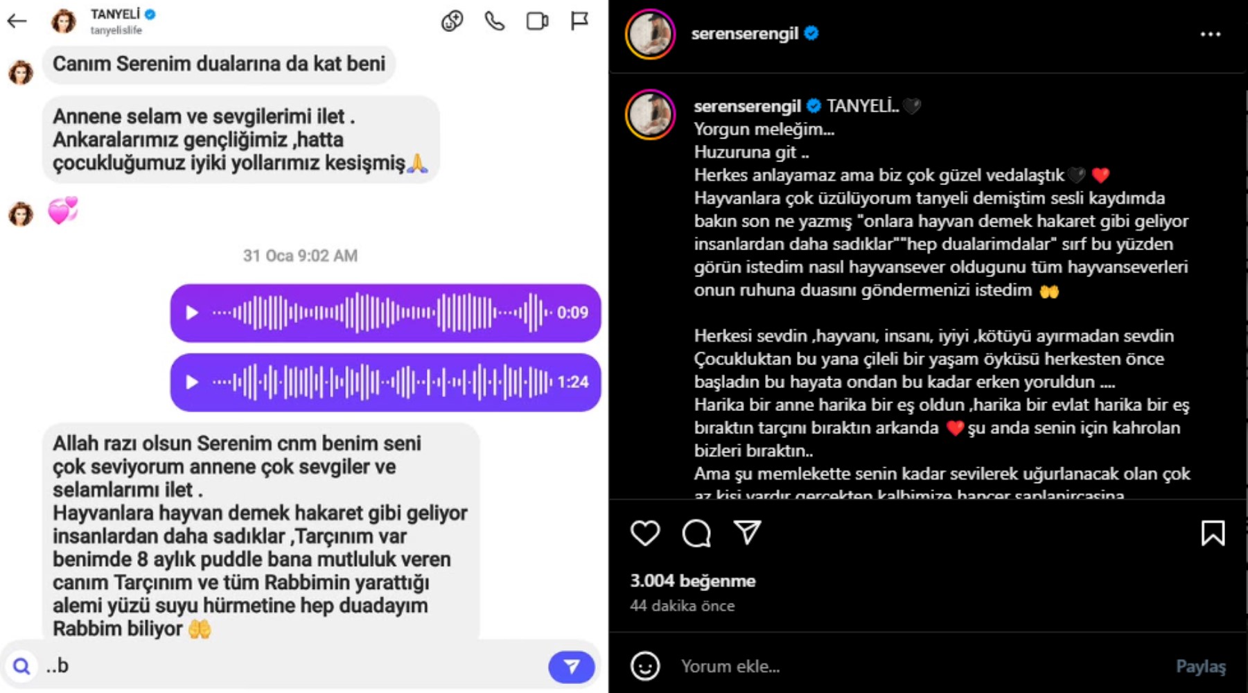 Ünlü isimlerden Tanyeli'ne veda: Çok yoruldun kuzum, haklısın