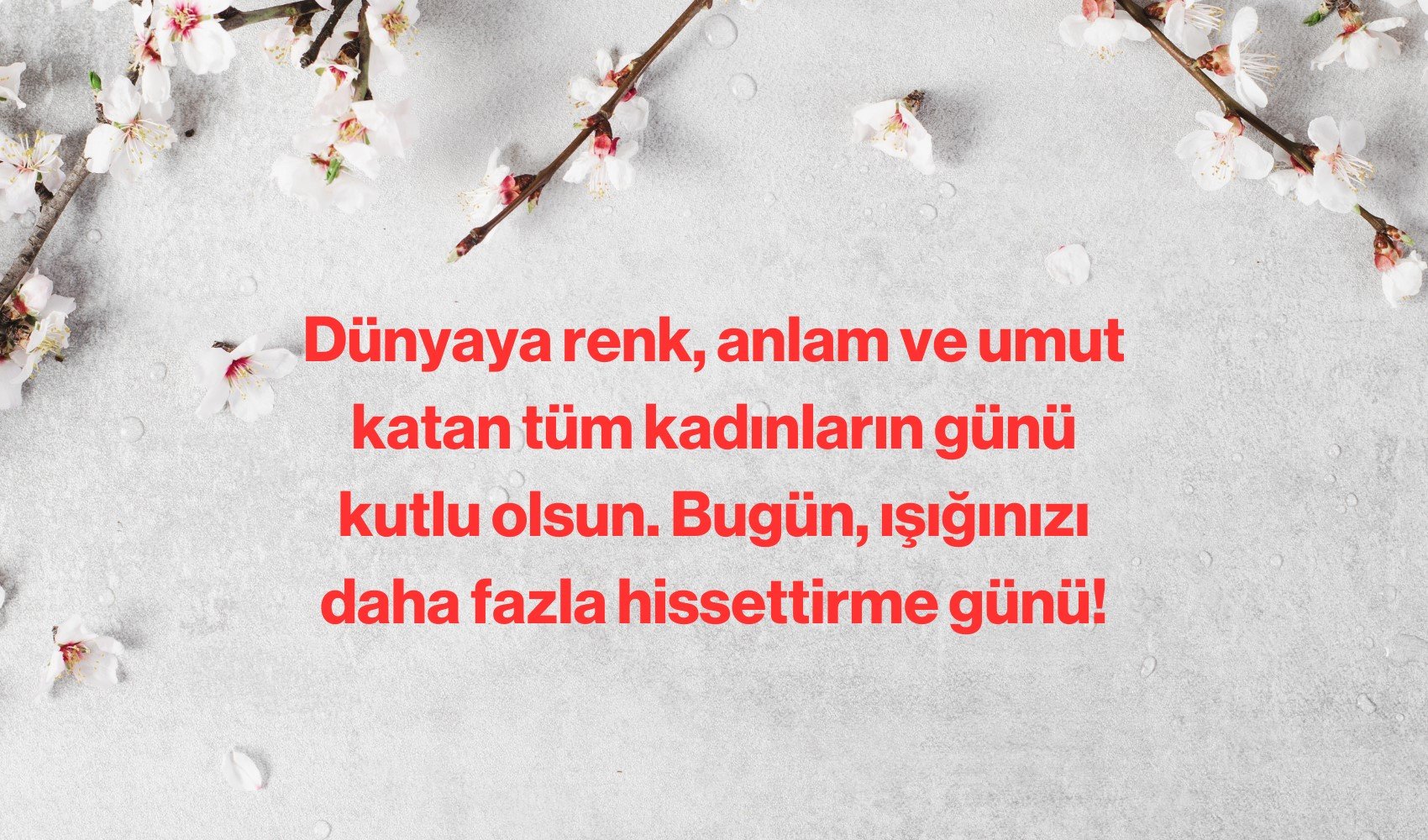 Resimli 8 mart dünya kadınlar günü mesajları 2025: Anlamlı, uzun, kısa ve resimli Kadınlar Günü mesajları