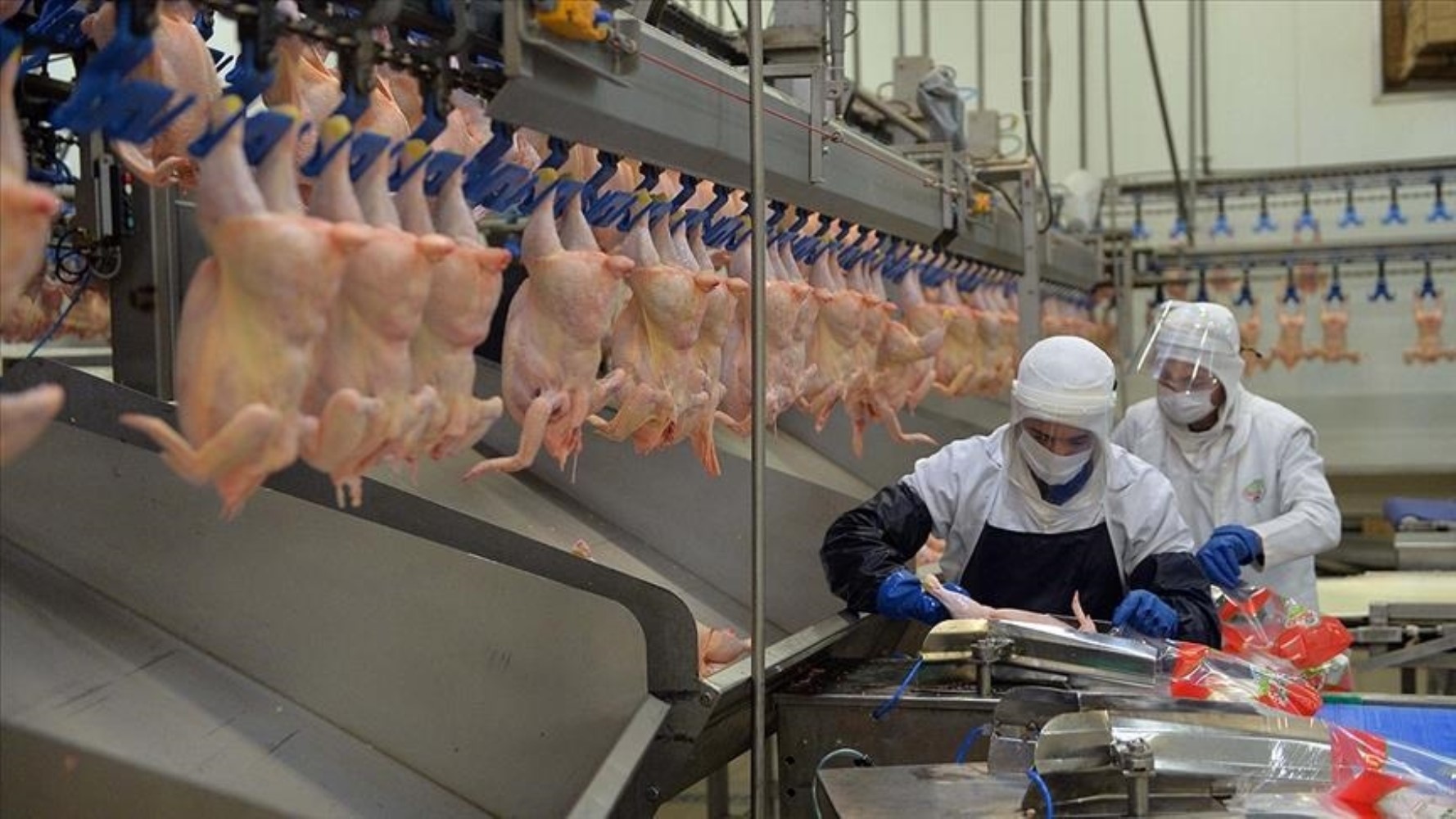 Tehlikeli bakteri tespiti! Şenpiliç'ten açıklama geldi: Ürünler toplatılıyor
