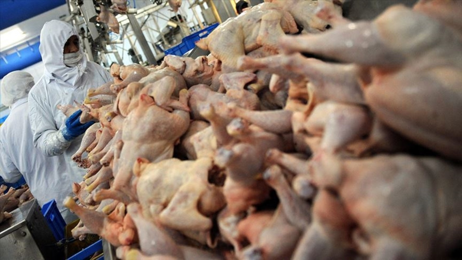 Tehlikeli bakteri tespiti! Şenpiliç'ten açıklama geldi: Ürünler toplatılıyor