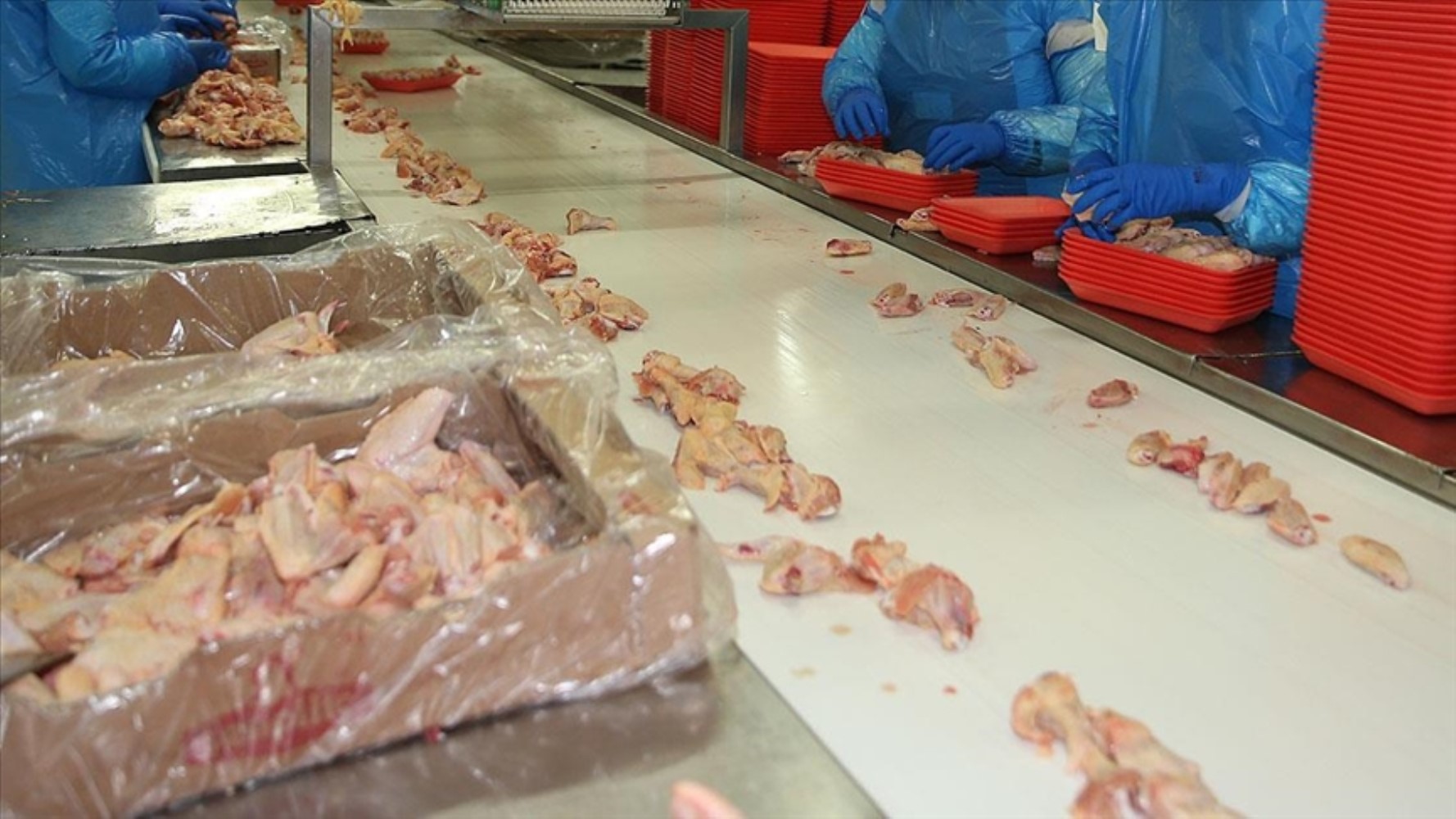 Tehlikeli bakteri tespiti! Şenpiliç'ten açıklama geldi: Ürünler toplatılıyor
