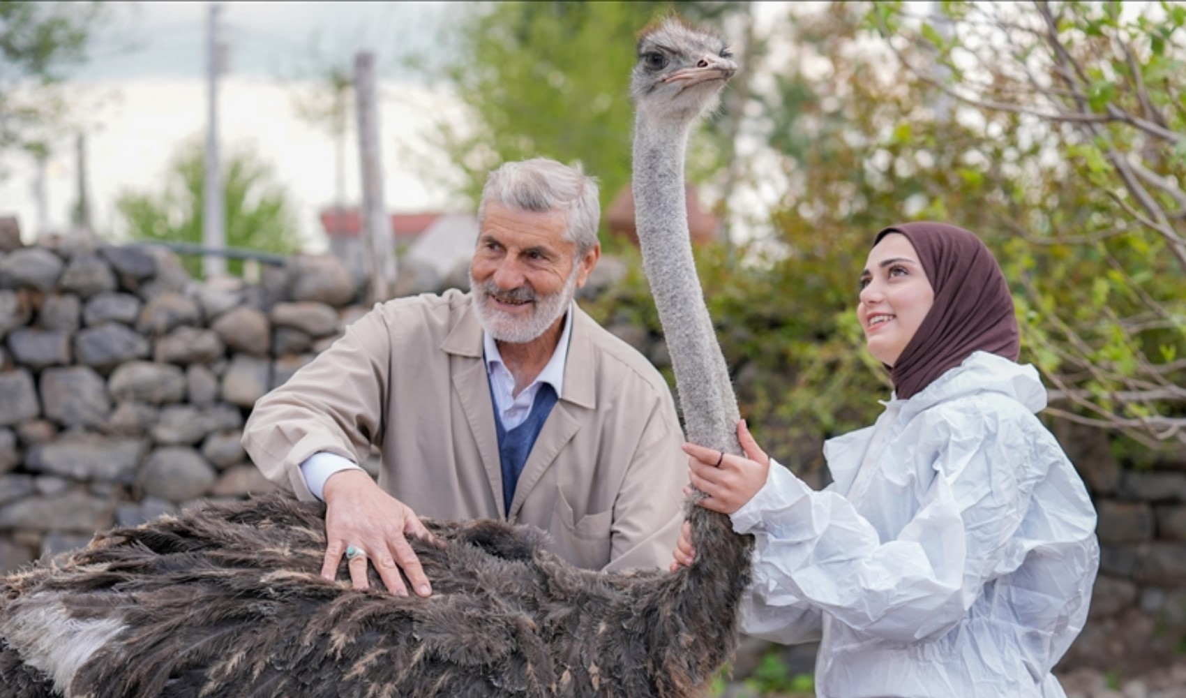 Yalnızlıktan strese giren firari deve kuşuna eş aranıyor