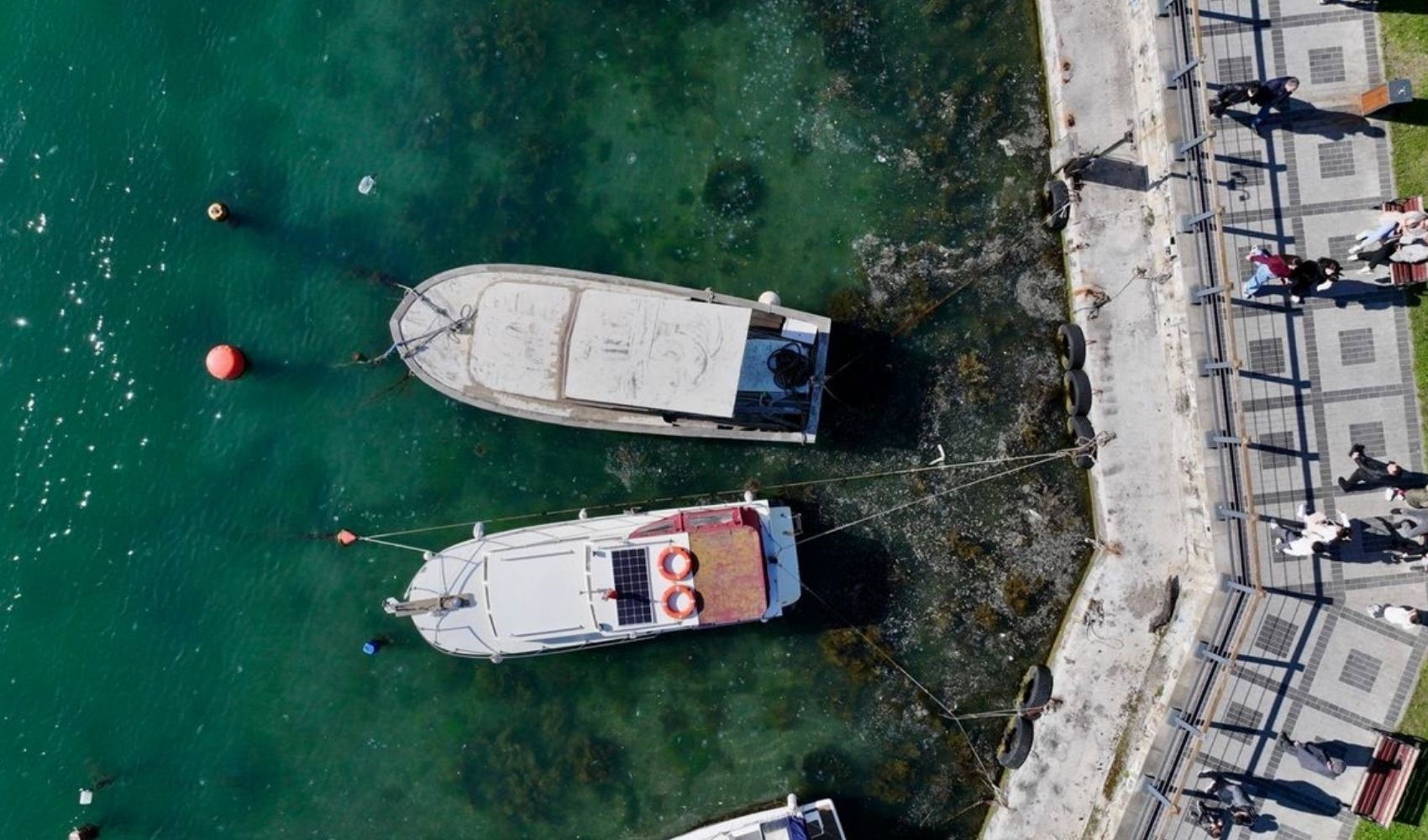 Marmara Denizi'nde müsilaj kabusu geri döndü: Beykoz ve Kadıköy kıyılarında tehlike