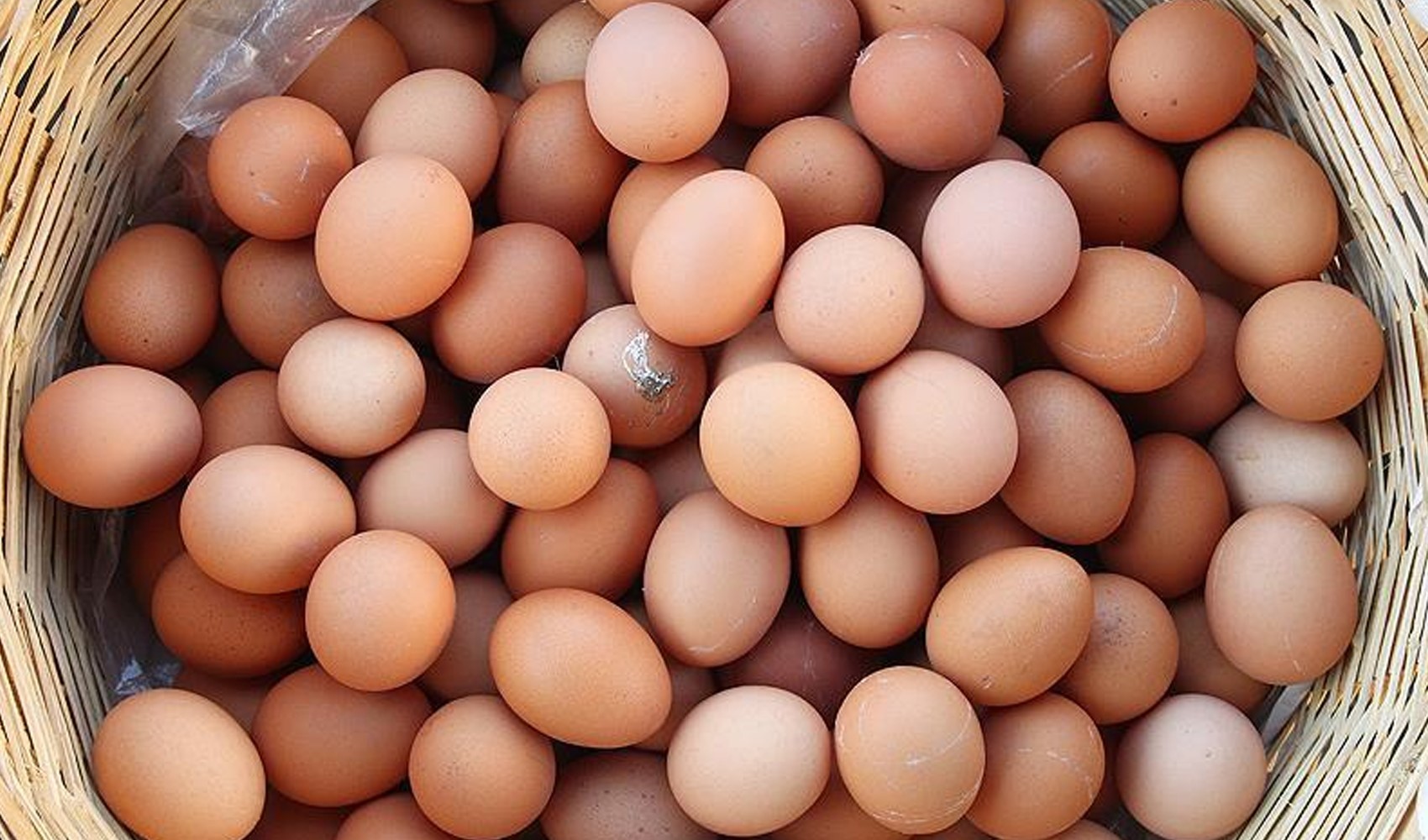 TÜİK açıkladı: Süt ve yumurta üretimi düşüşte TÜİK açıkladı: Süt ve yumurta üretimi düşüşte