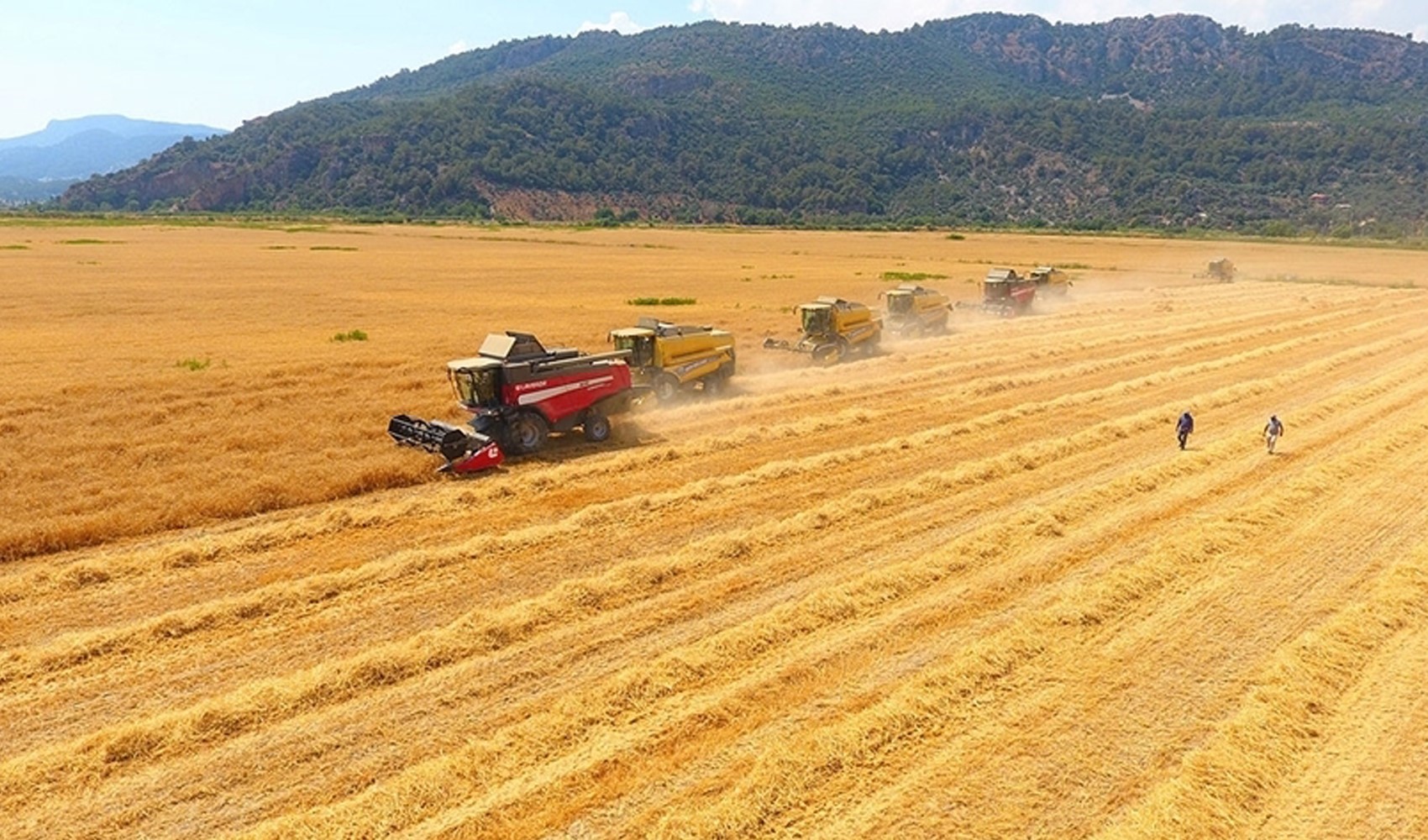 Tarım girdi maliyetleri şubatta da yükselmeye devam etti Tarım girdi maliyetleri şubatta da yükselmeye devam etti